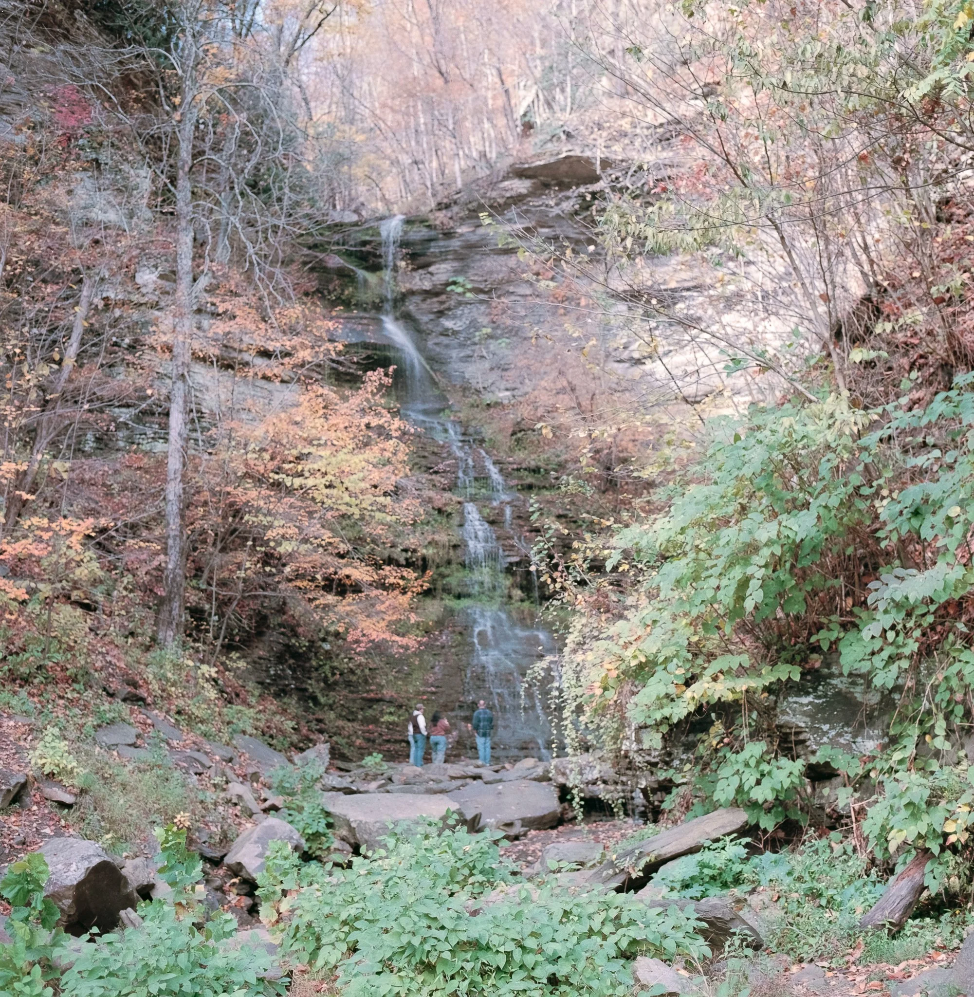Cathedral Falls - Cades Cove Ektar 100-1.jpg