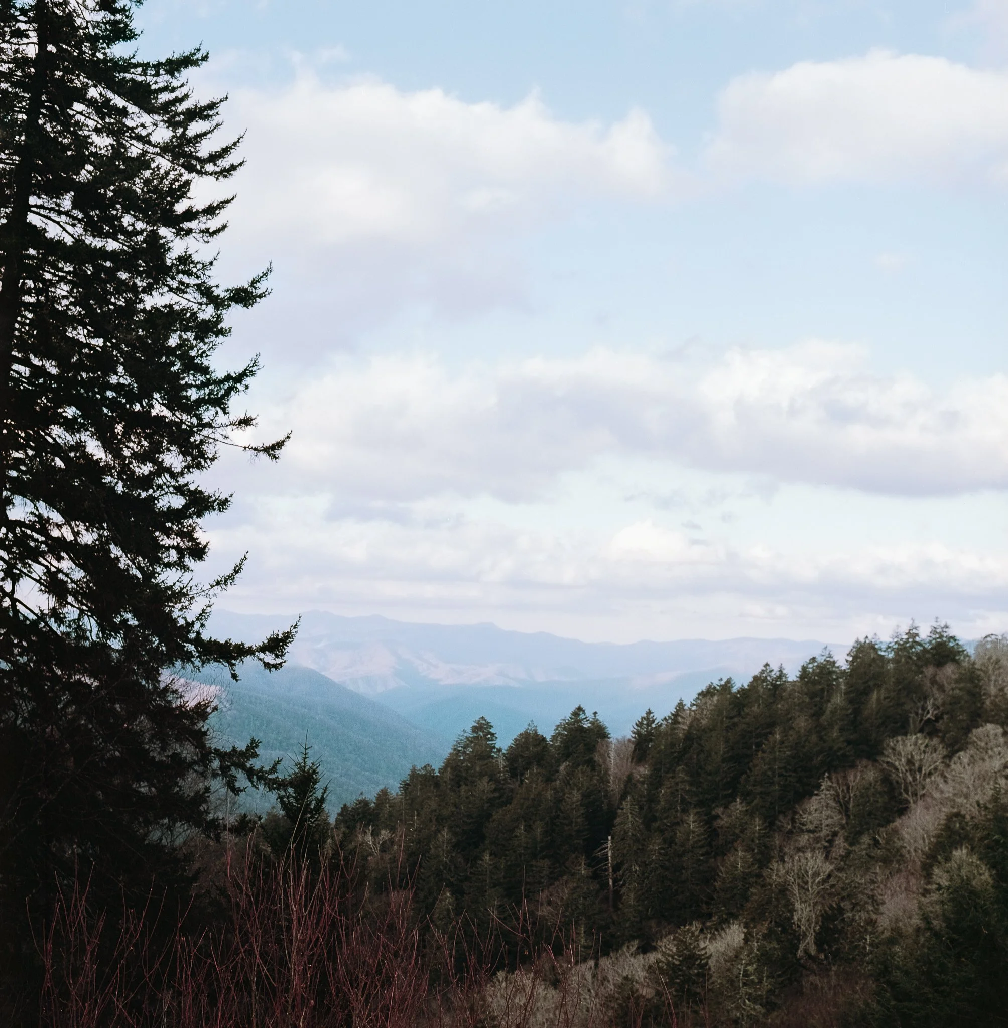 Mountain Overlook 2 Red River Trip Ektar 100-1.jpg