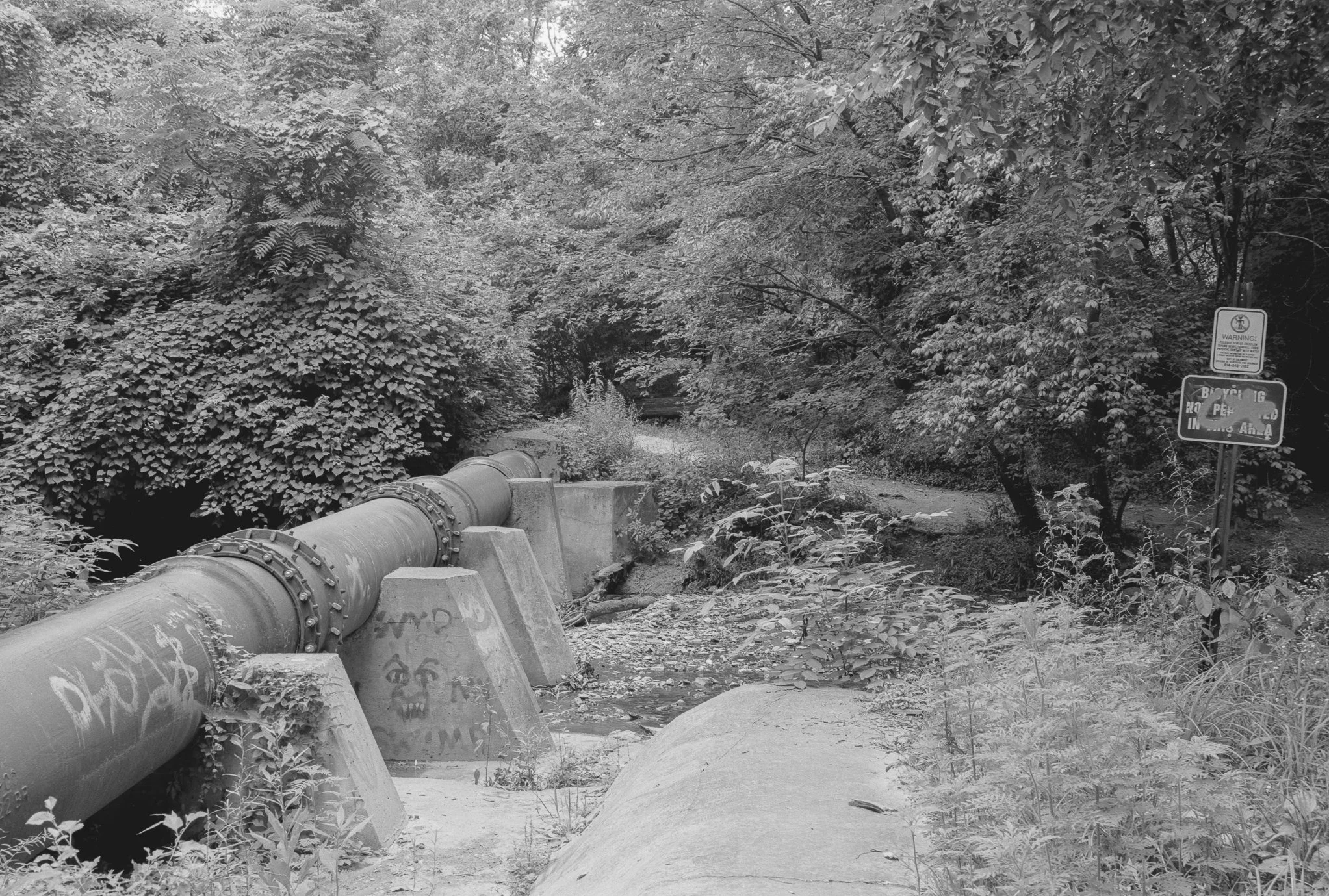 Whetstone VH-R Ilford HP5 7.26-1.jpg