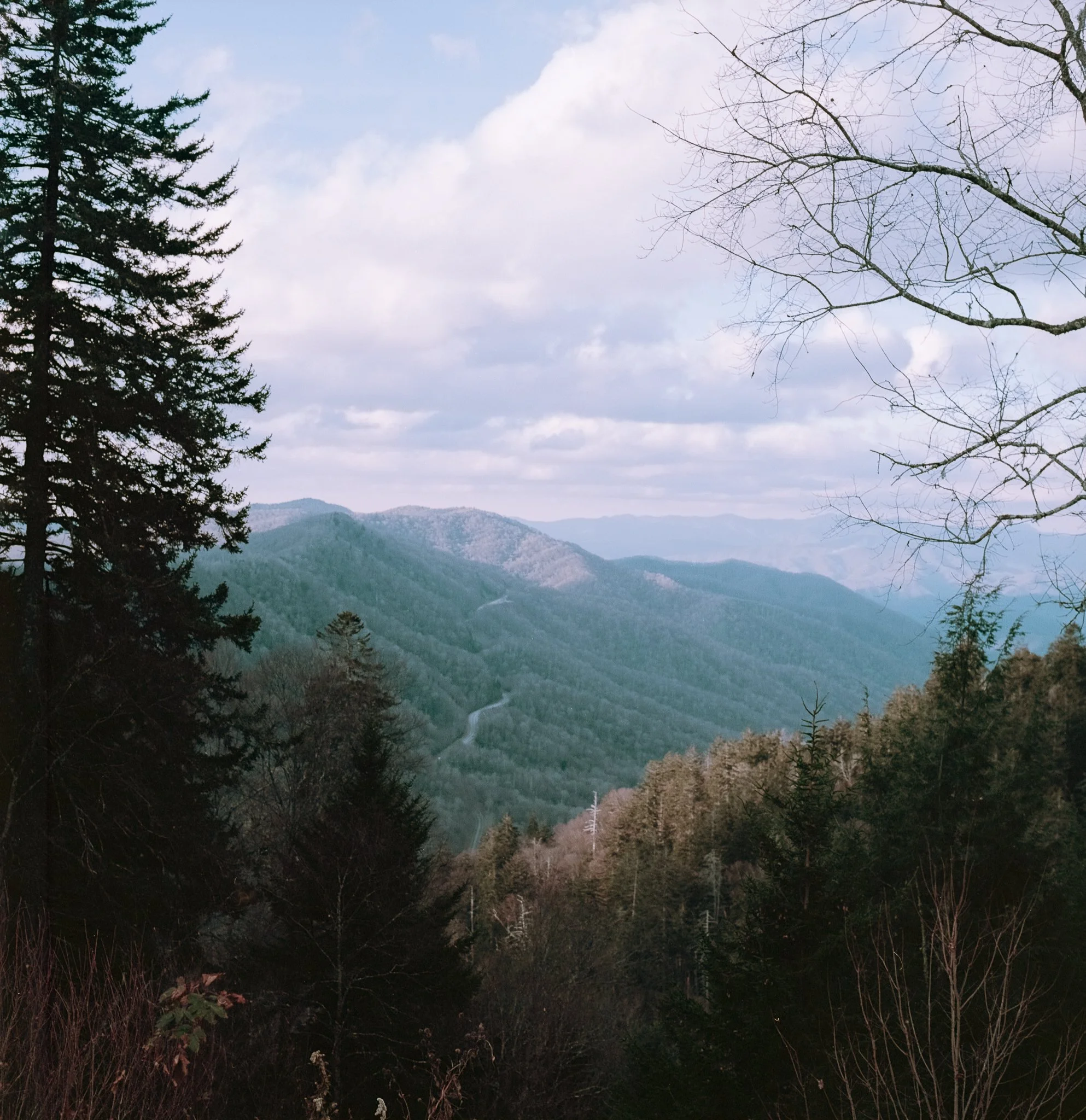 Mountain Overlook Red River Trip Ektar 100-1.jpg