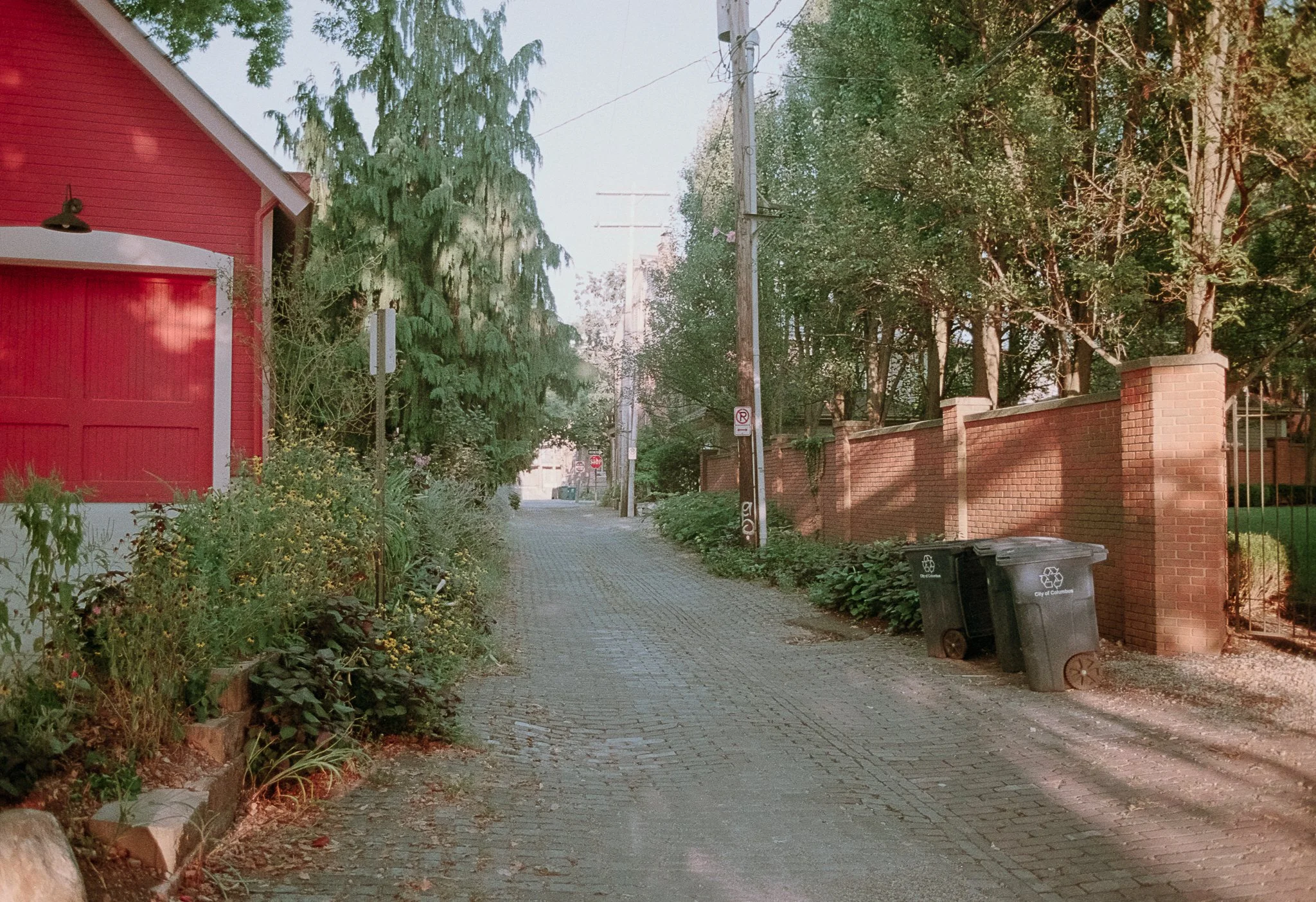 Brick Alley - Kodak Gold 200-1.jpg