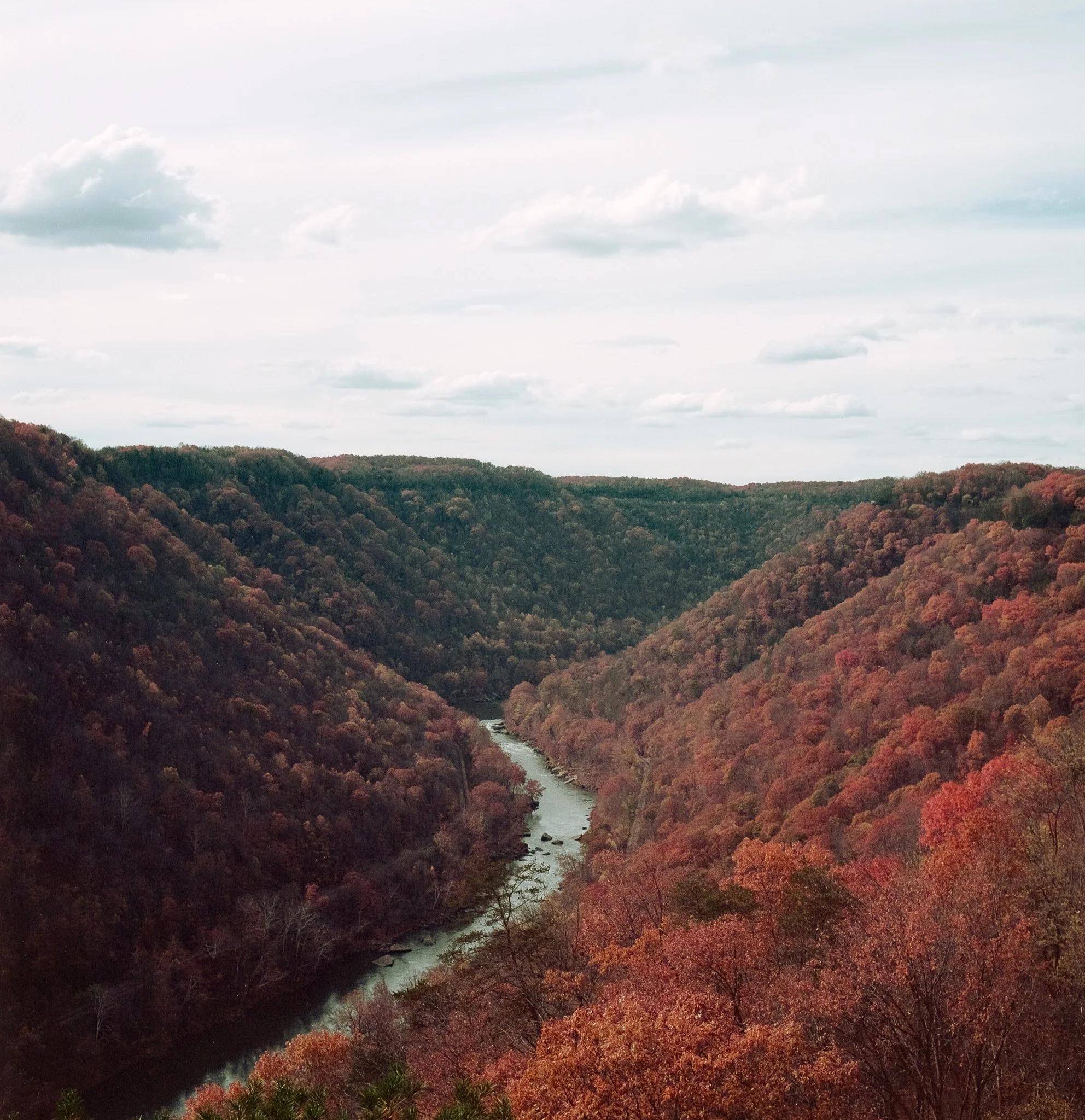 Red River Valley Ektar 100-1.jpg