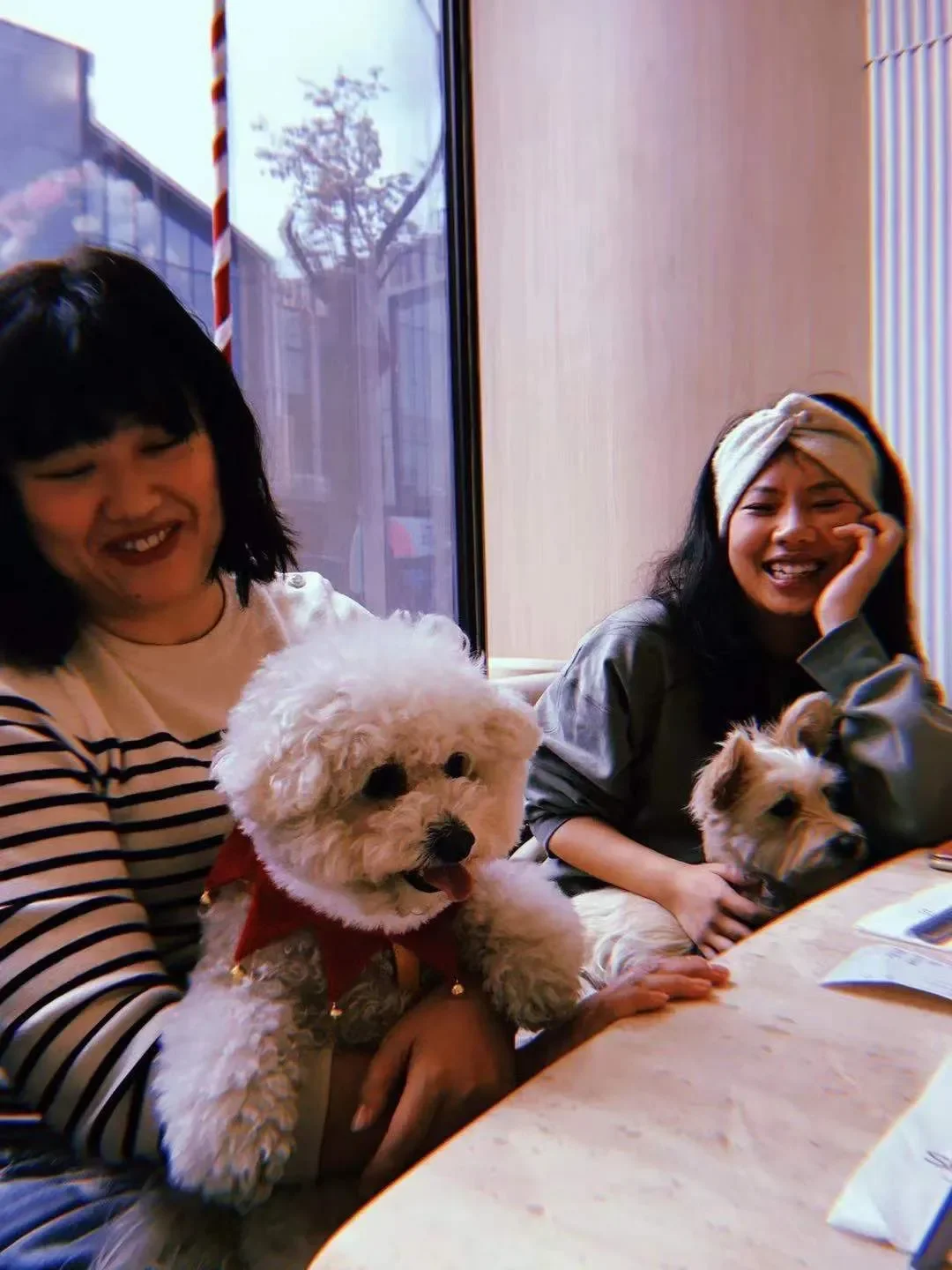 molly and anping.webp