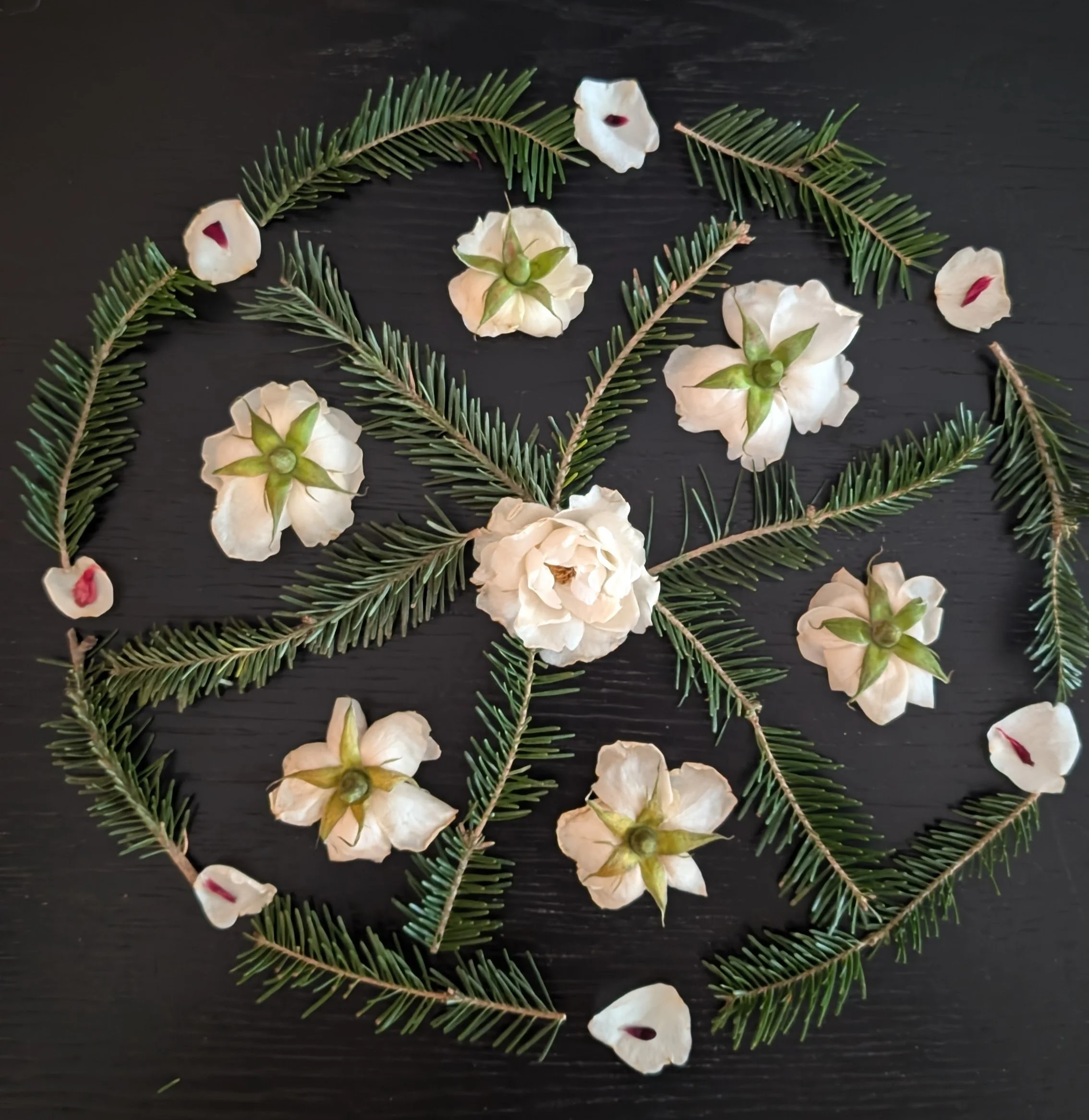 winter mandala with roses and greens.
