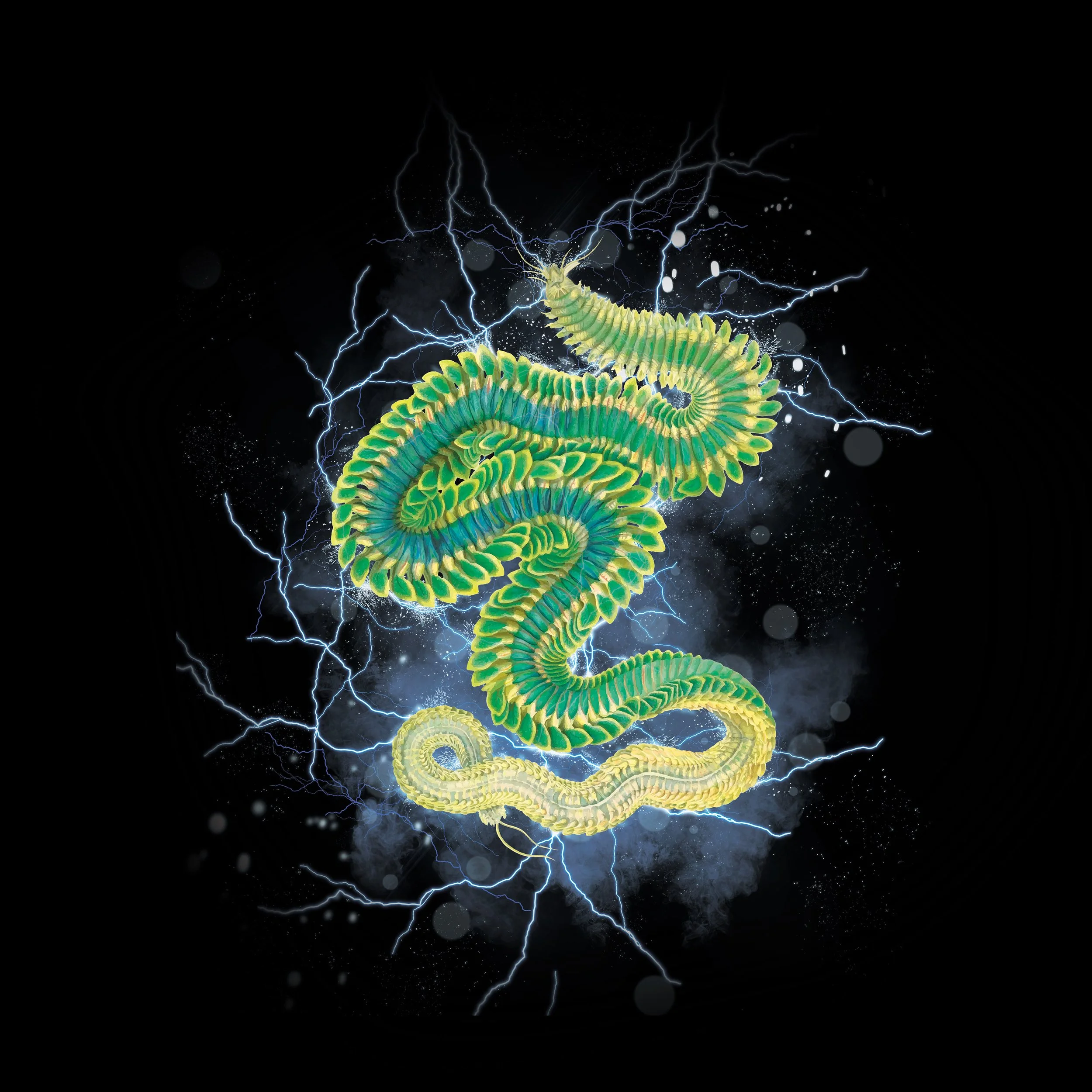 electric worm.jpg