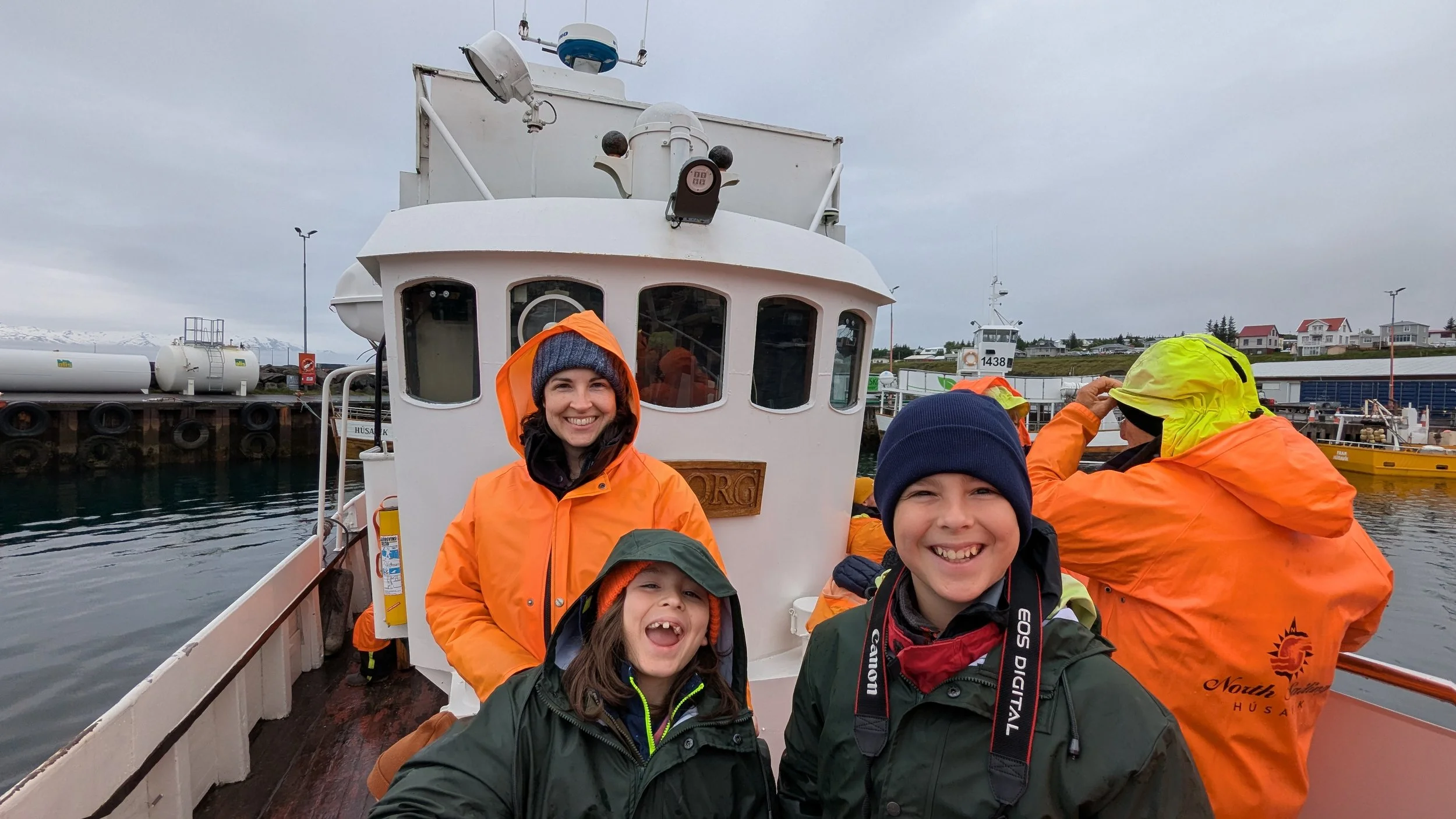 Whale watching in Husavik