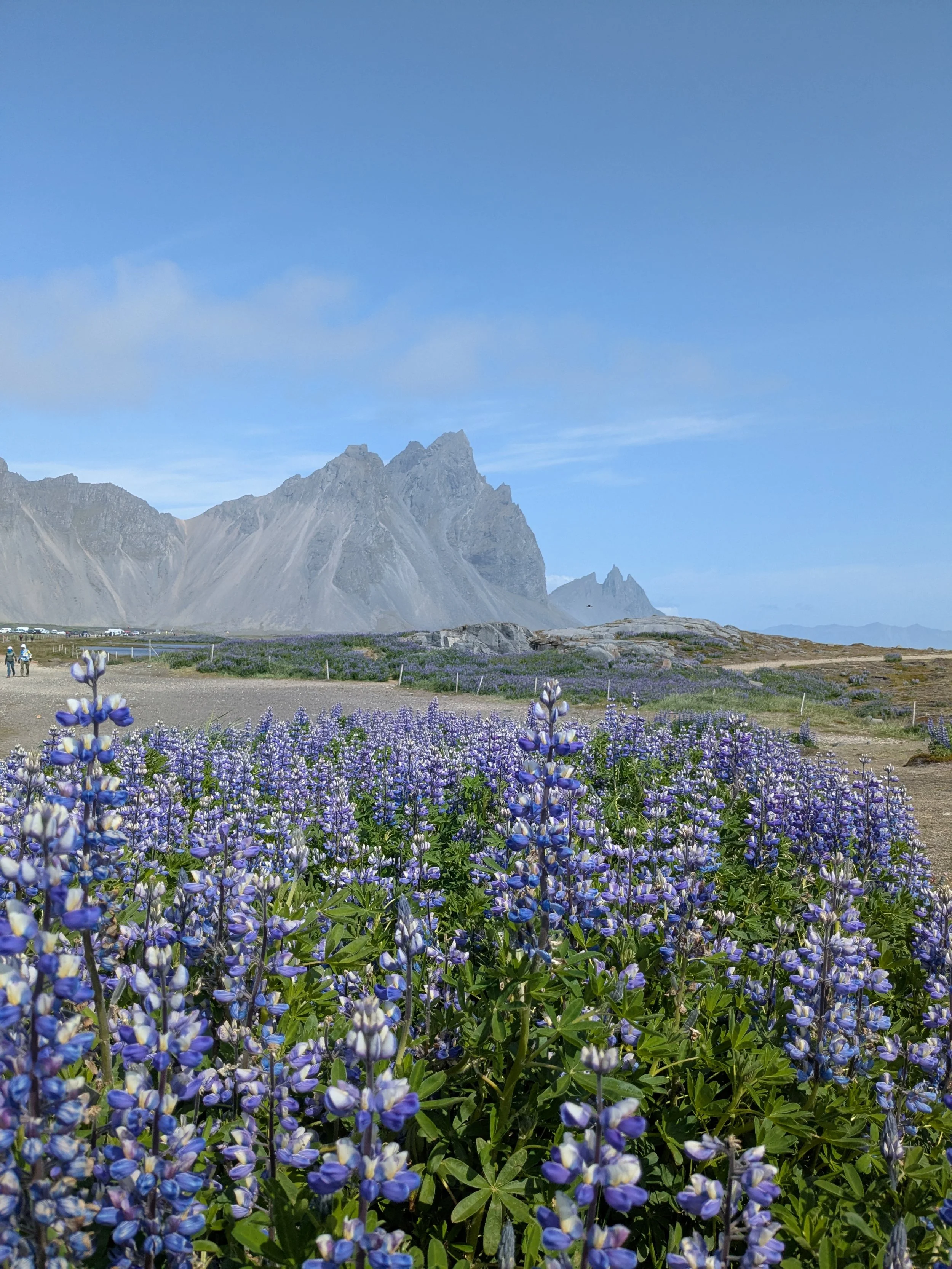 Vestrahorn Mountain