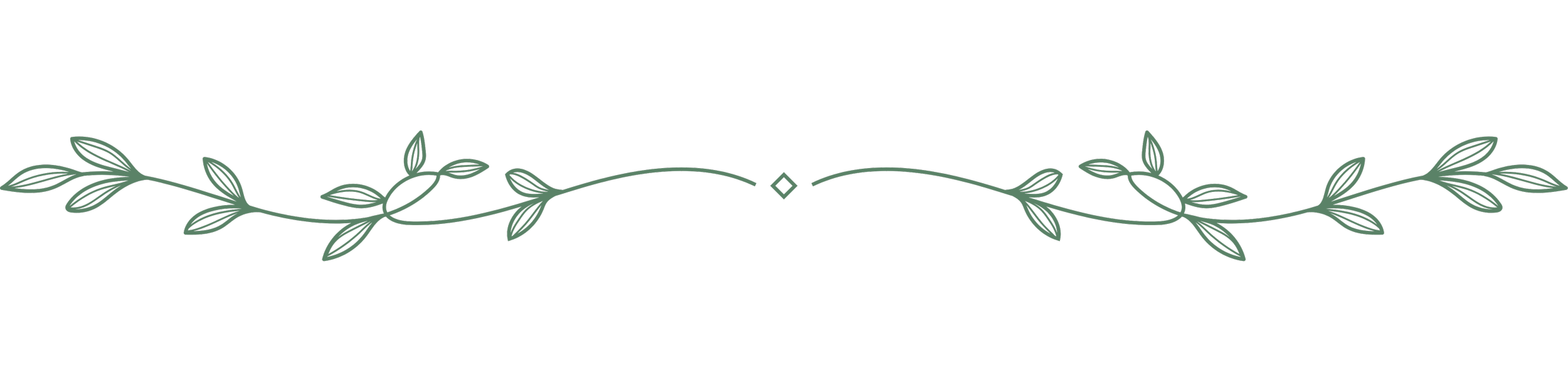 A decorative green vine with leaves, symmetrical on black background.