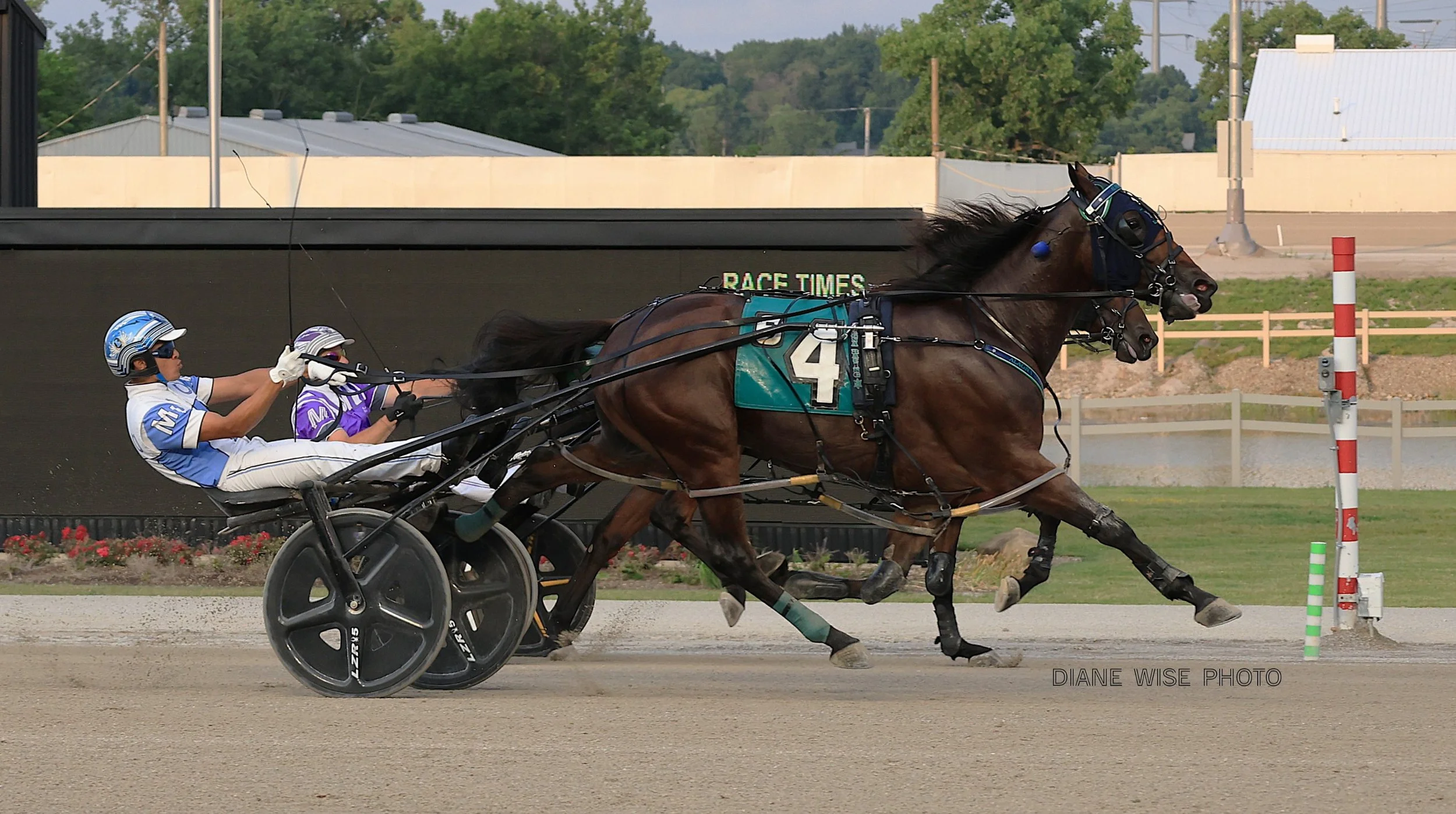 Northfield Park Harness Picks & Odds | Harness Elite — Harness Elite