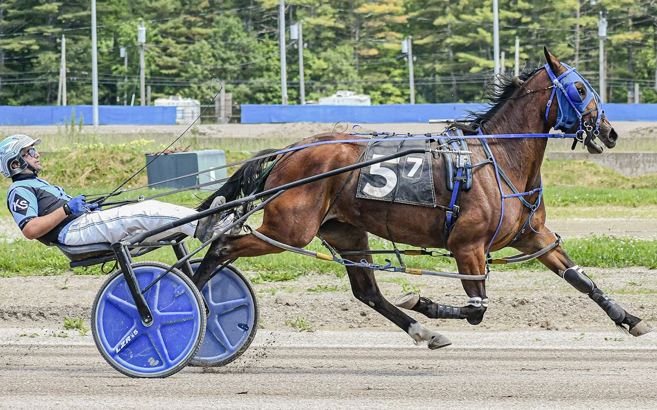 First Tracks Cumberland Harness Picks, Tipsheets & Odds | Harness Elite ...