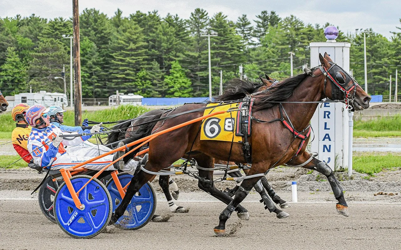 Harness Elite - Free Harness Racing Handicapping Picks, Data and Tools
