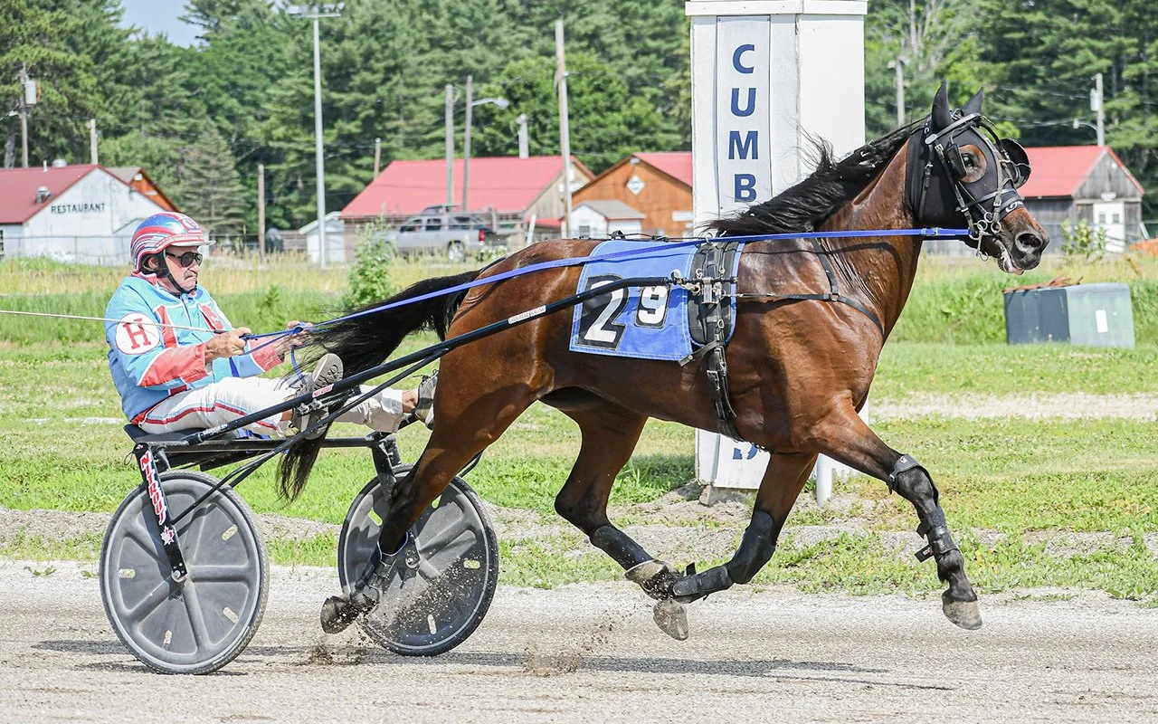 First Tracks Cumberland Harness Picks, Tipsheets & Odds | Harness Elite ...