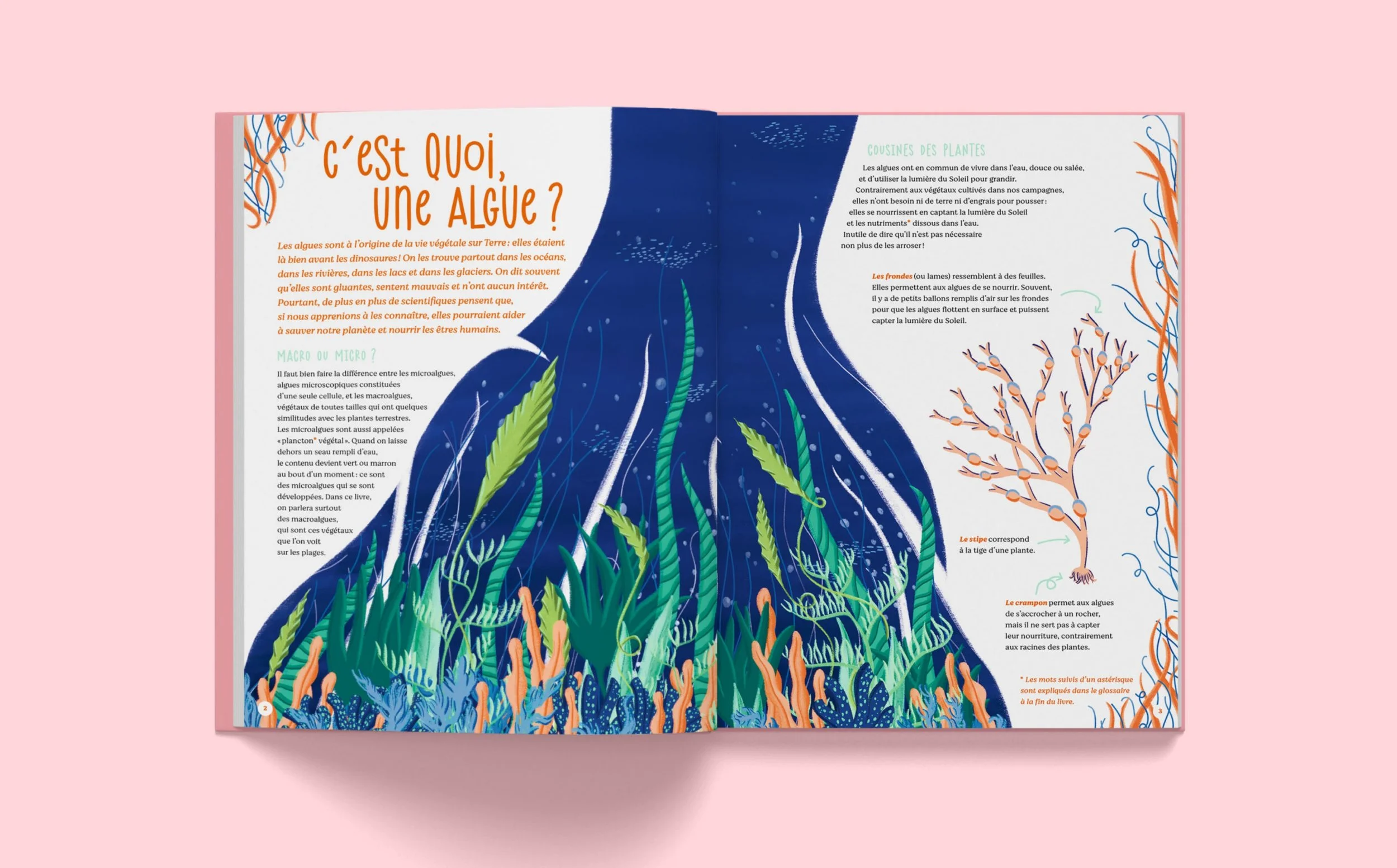 Livre-Comment-Algues-Peuvent-Sauver-Monde_Lilately-Illustratrice-Engagee_planche.jpg