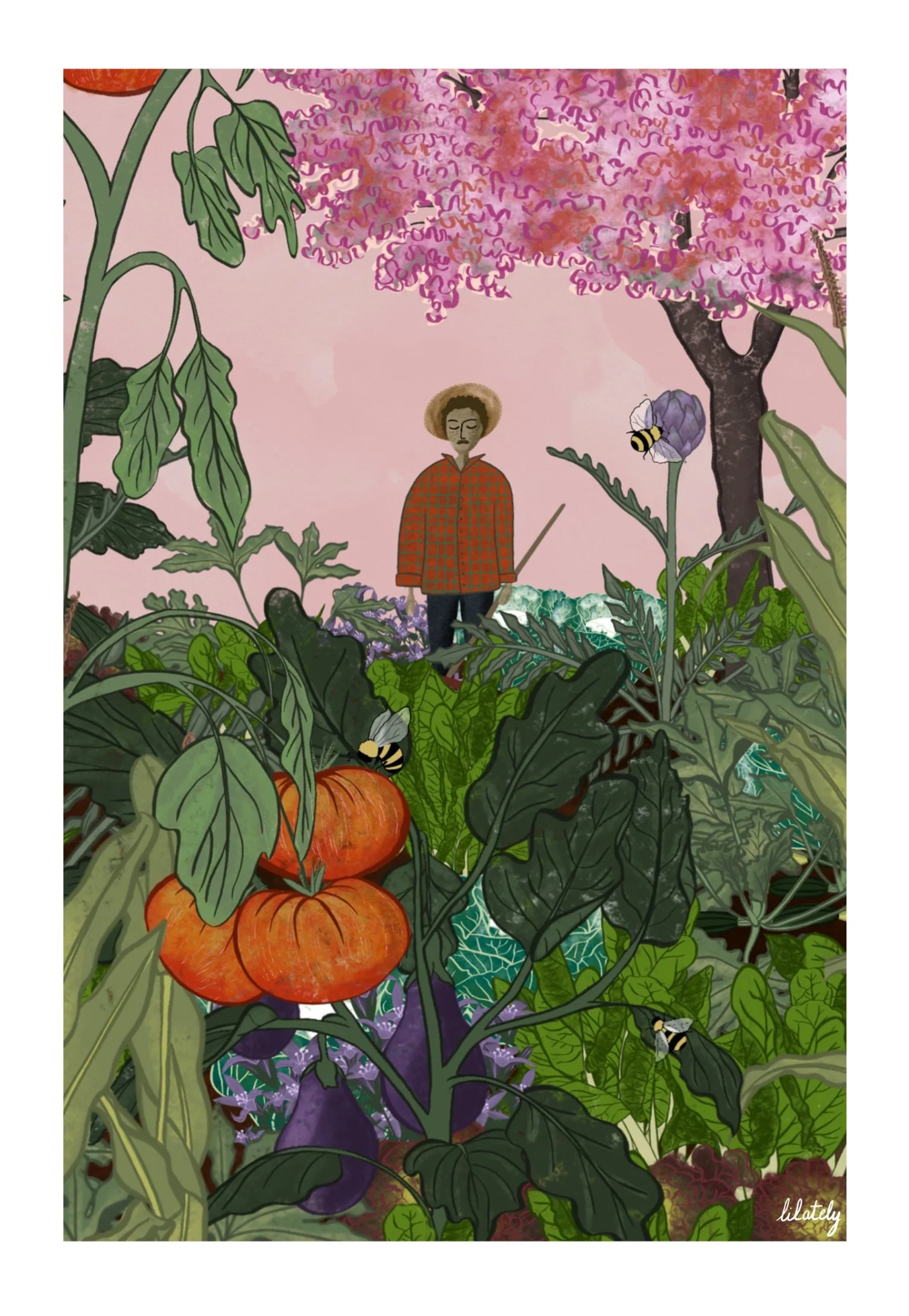 Illustration · Semences paysannes