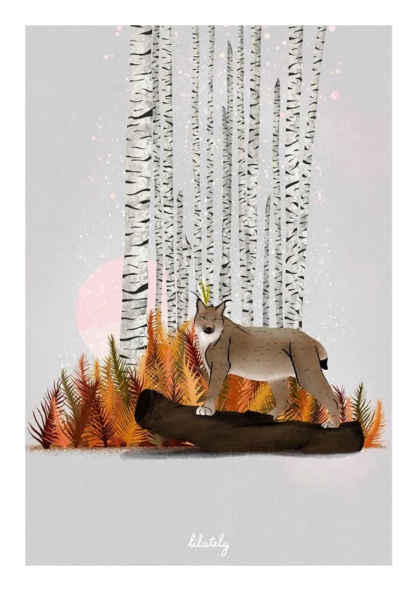 Illustration · Lynx