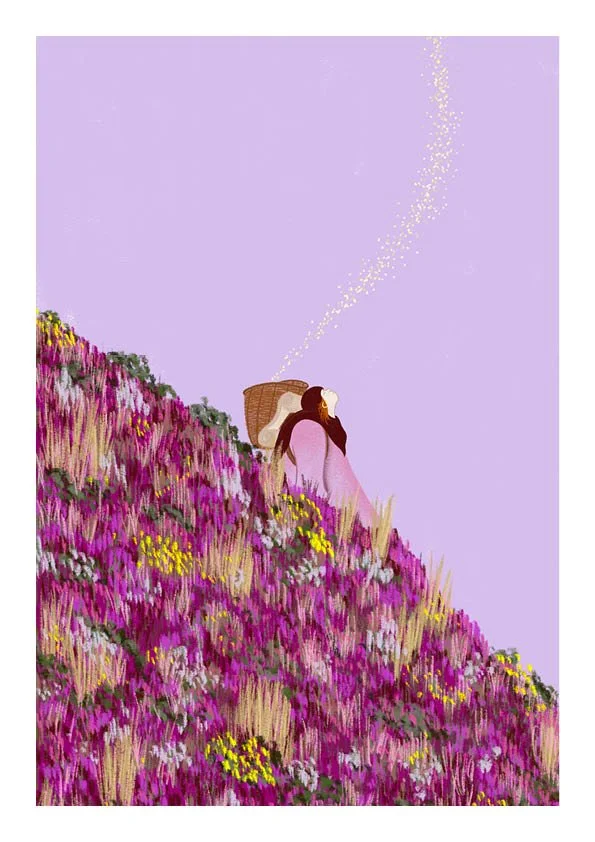 Illustration · Parenthèse bretonne