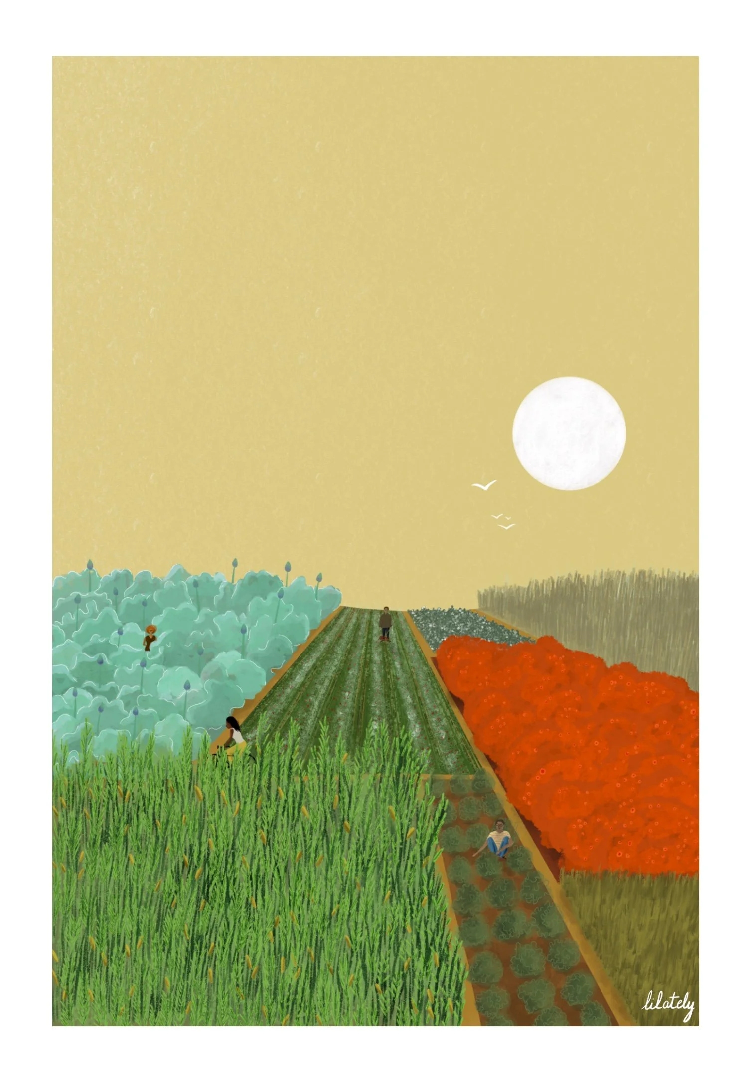 Illustration · Agriculture biologique