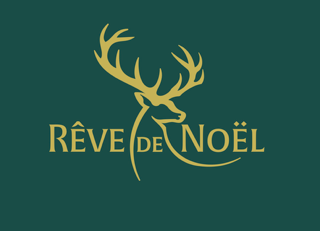 Reve De Noel