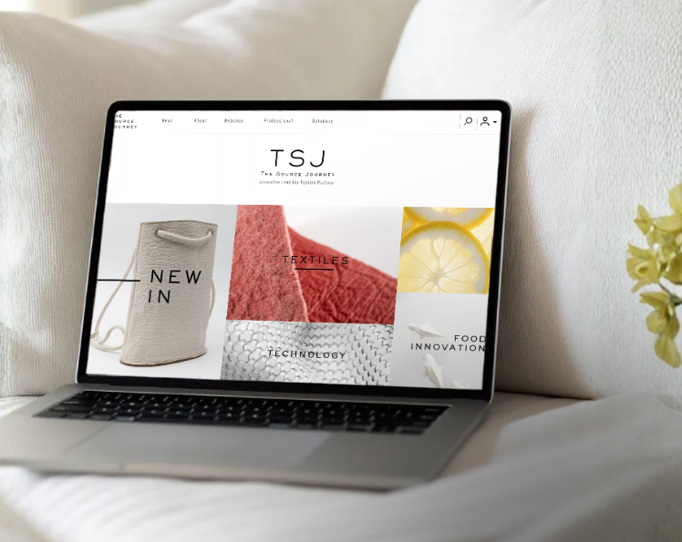 The Source Journey.png