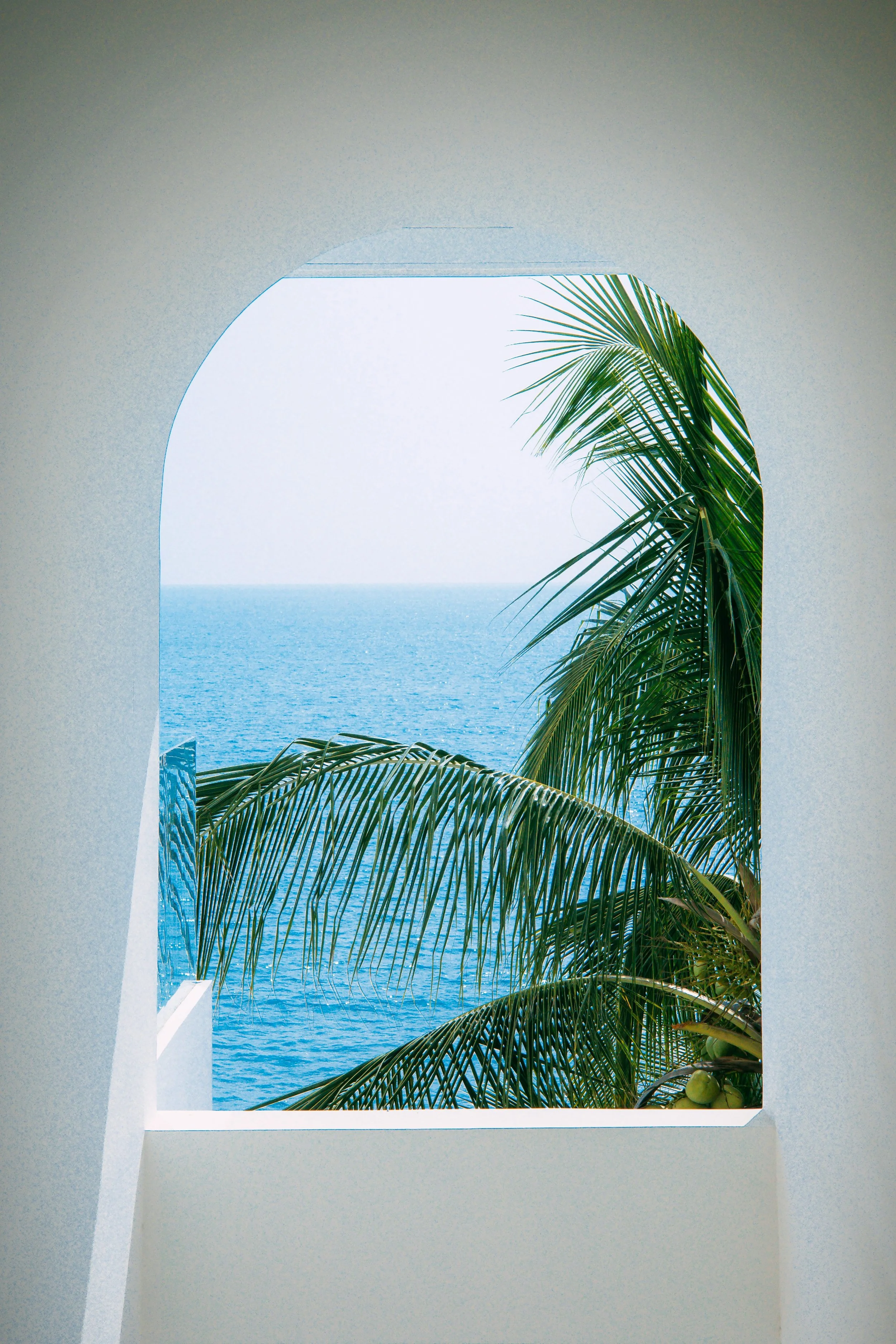 View through an arched window of a palm tree with green fronds and the ocean in the background.
