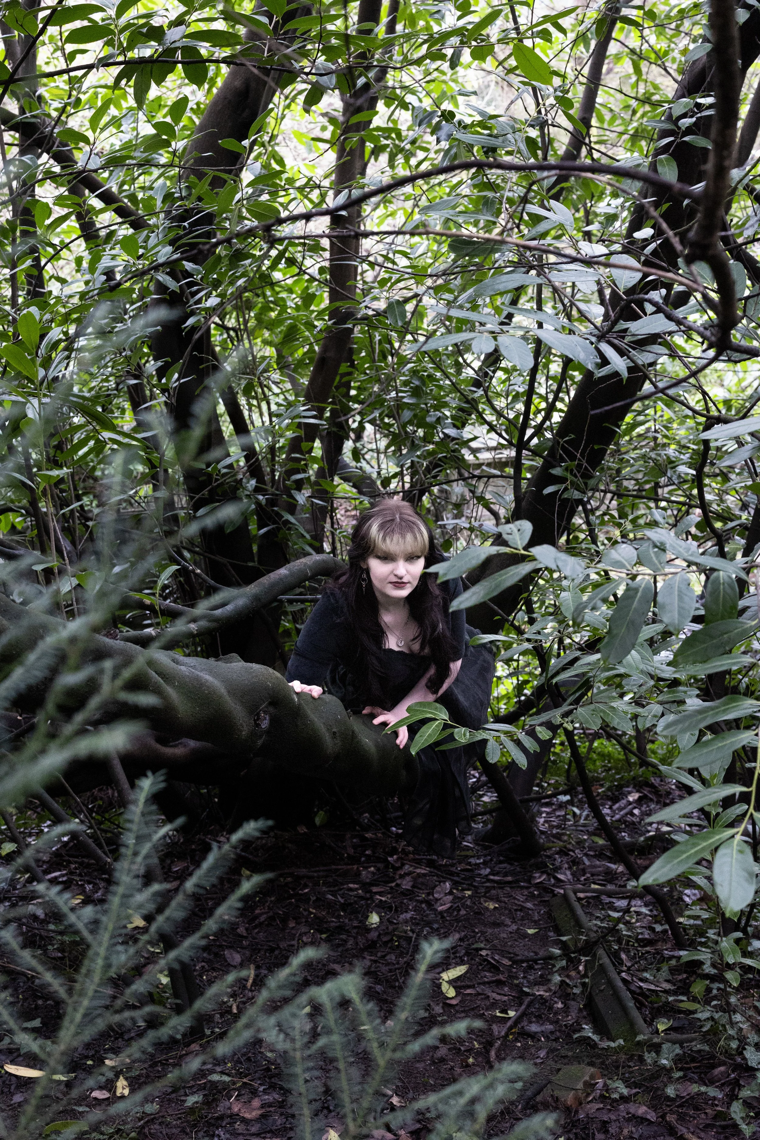 Soaking in the Shade.JPG