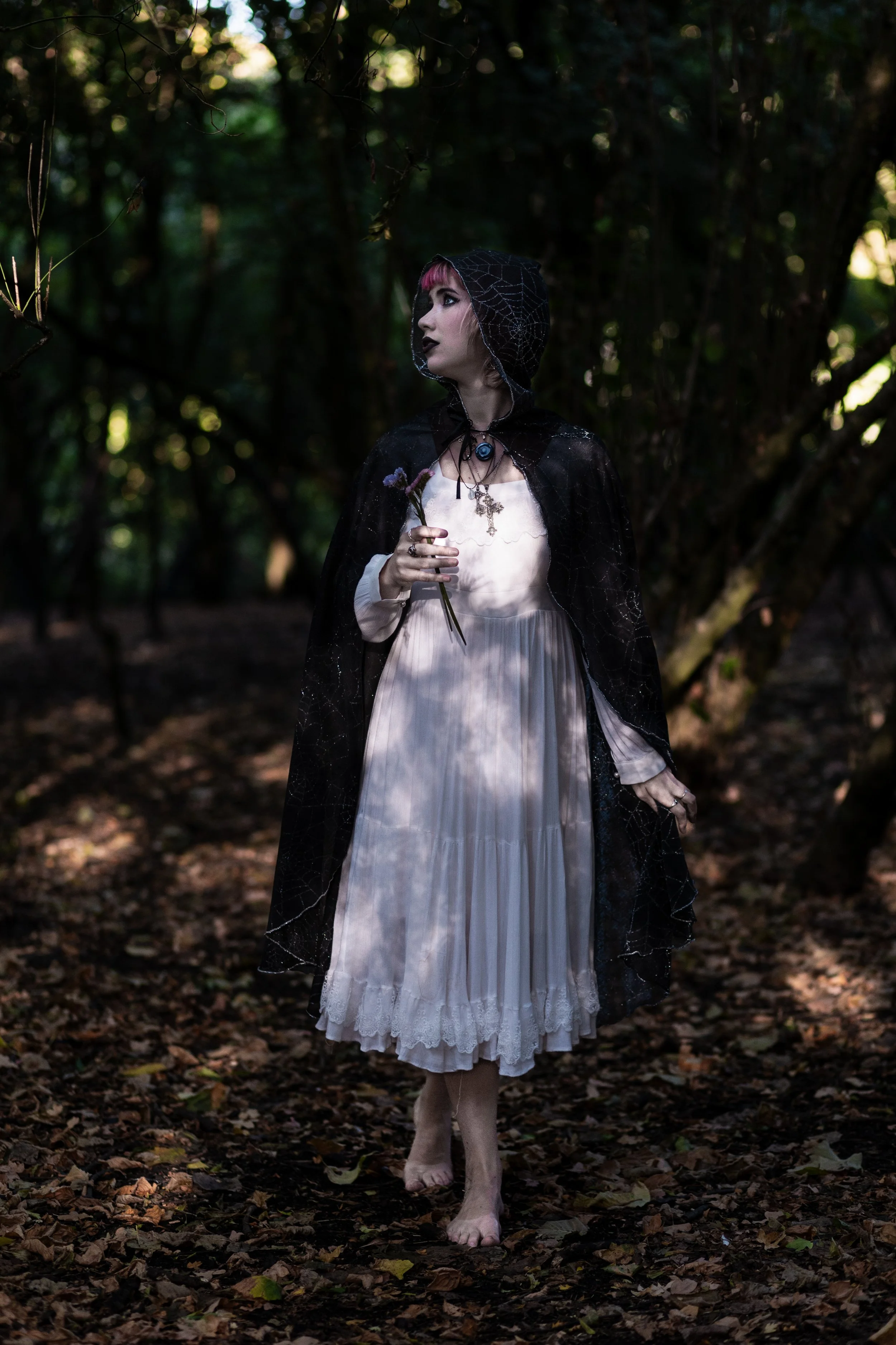 Walk in the Twilight.JPG