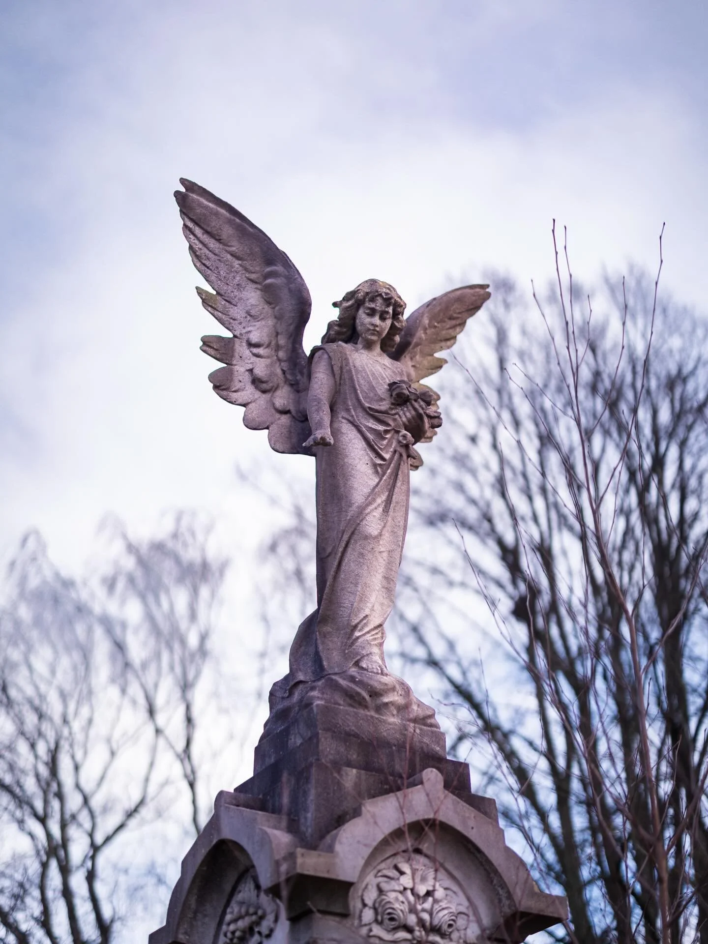 Hallow Ground

From 'No Tears'

📸 Myself

#cemetery #gothic #photography