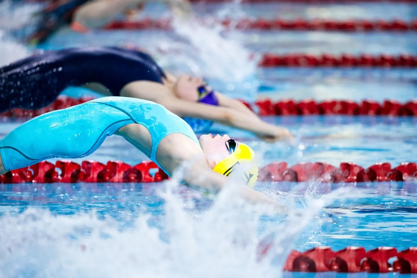 Gloucester Championships
January 2026
Hengrove Park

Shot for @malaper_photography_sports 

#swimming #gala #photography #sports #sportphotography📷