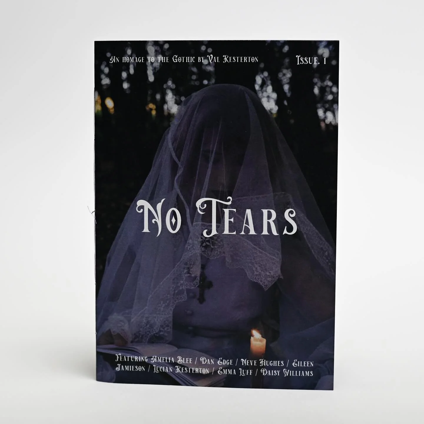 ⚠️ Zine copies available to order on my website (or DM me)

All copies are handmade and hand stitched :)
