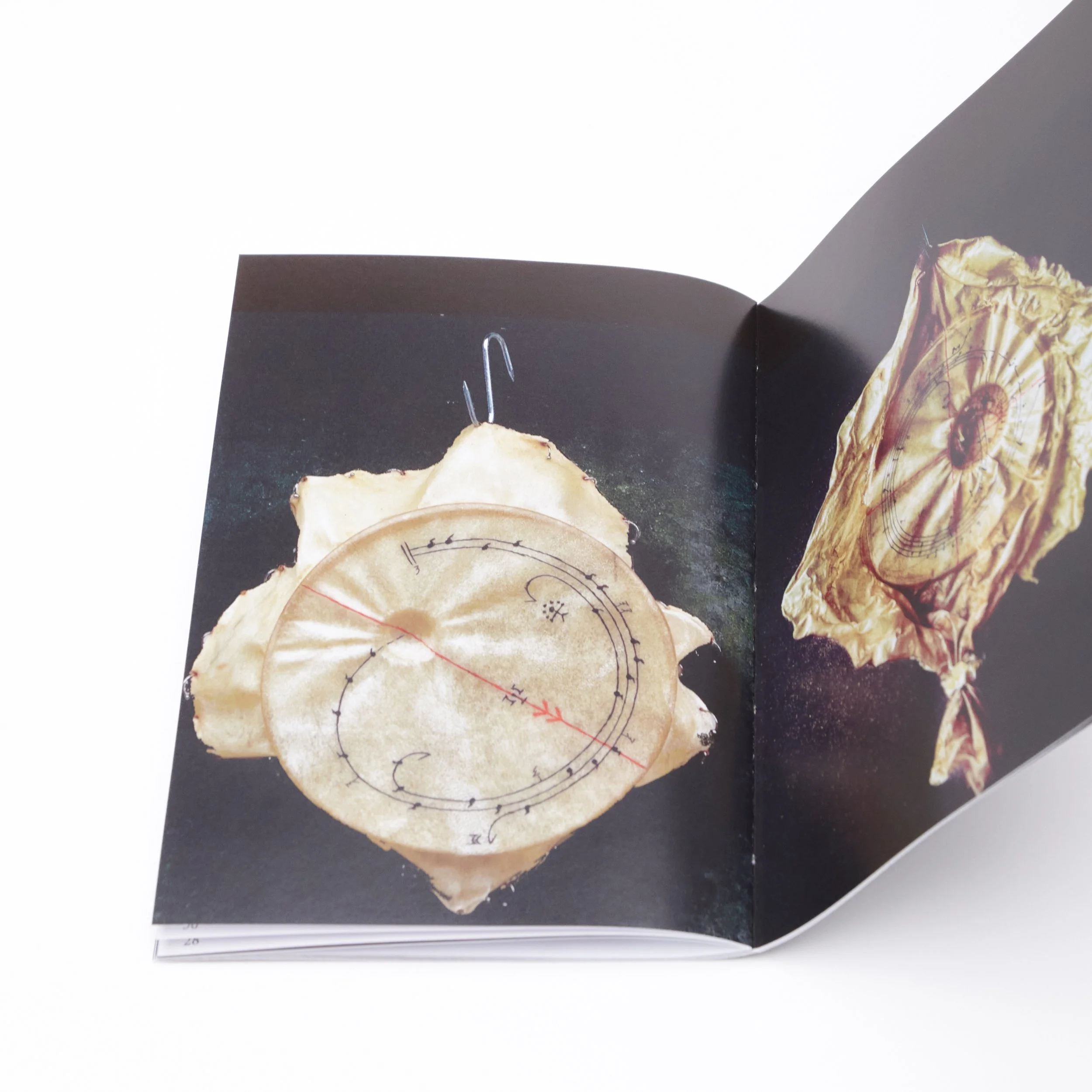 Zine 26 Summer | 10.JPG