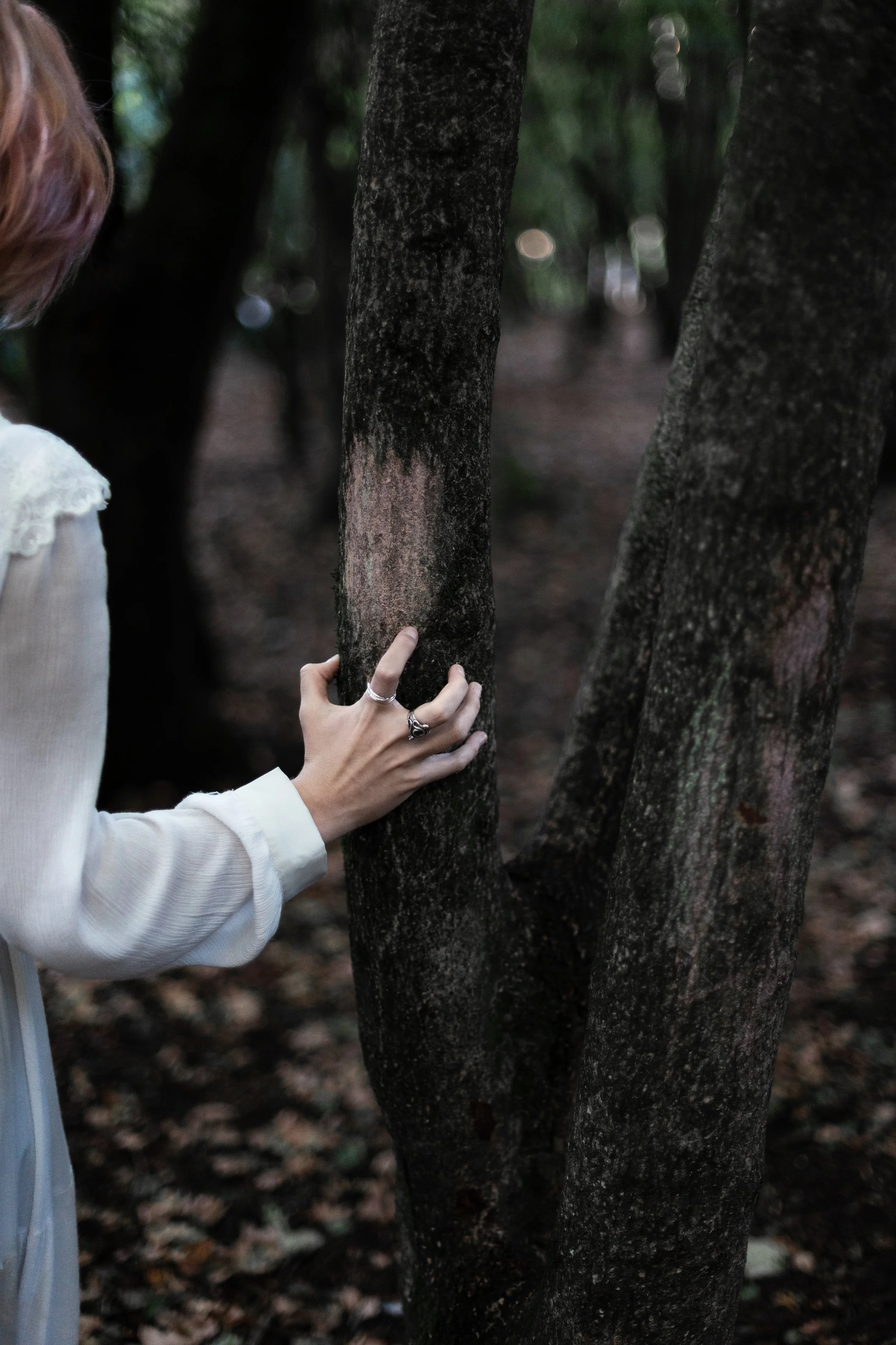 In The Forest Hide.JPG