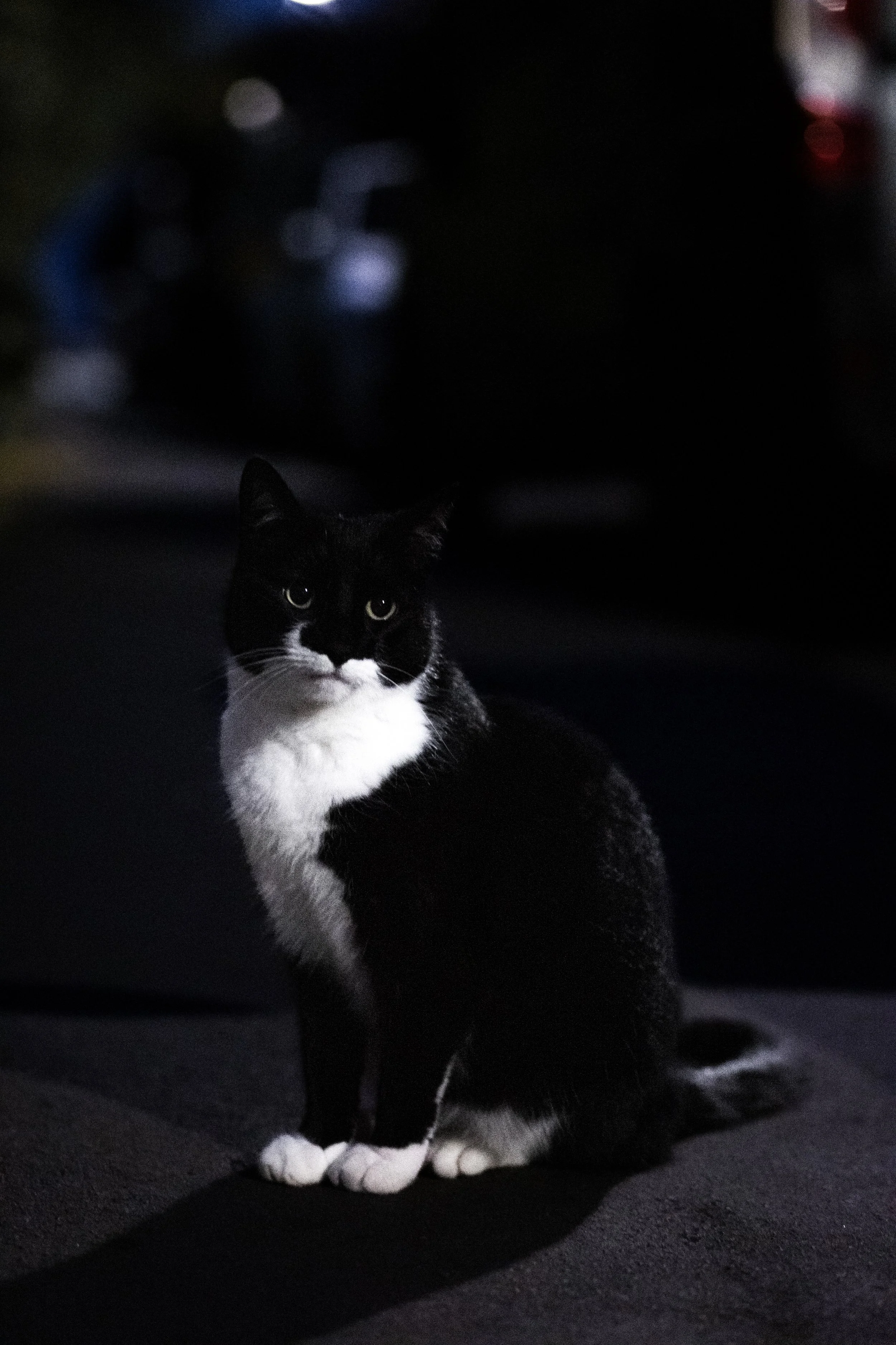 Impartial Observer.JPG