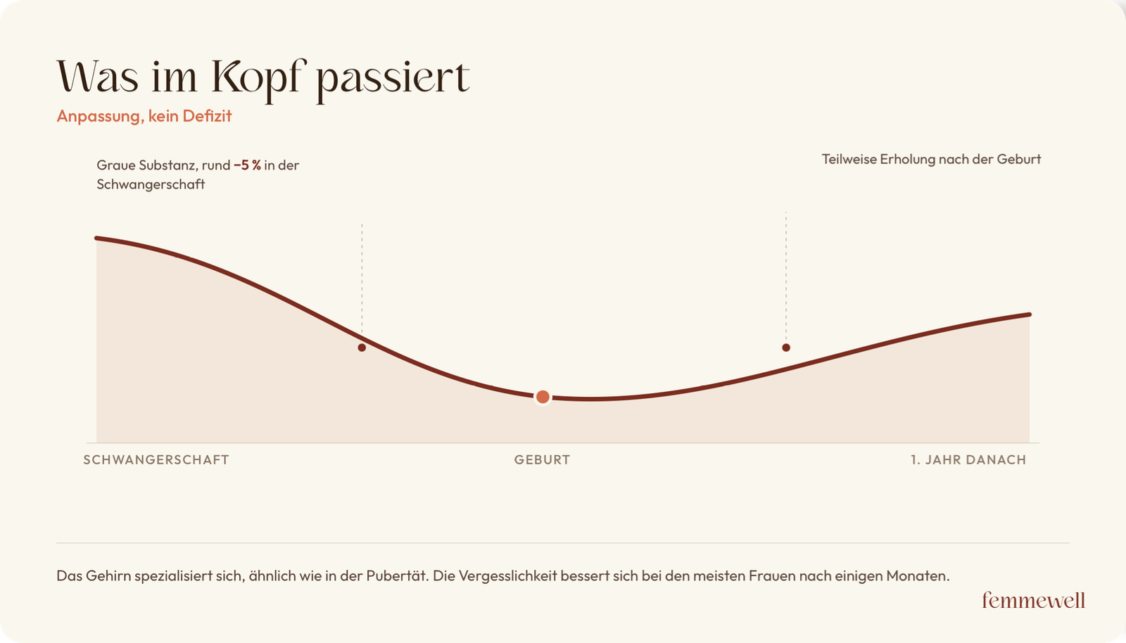 Verlauf der grauen Substanz über Schwangerschaft und erstes Jahr, eine Anpassung des Gehirns.