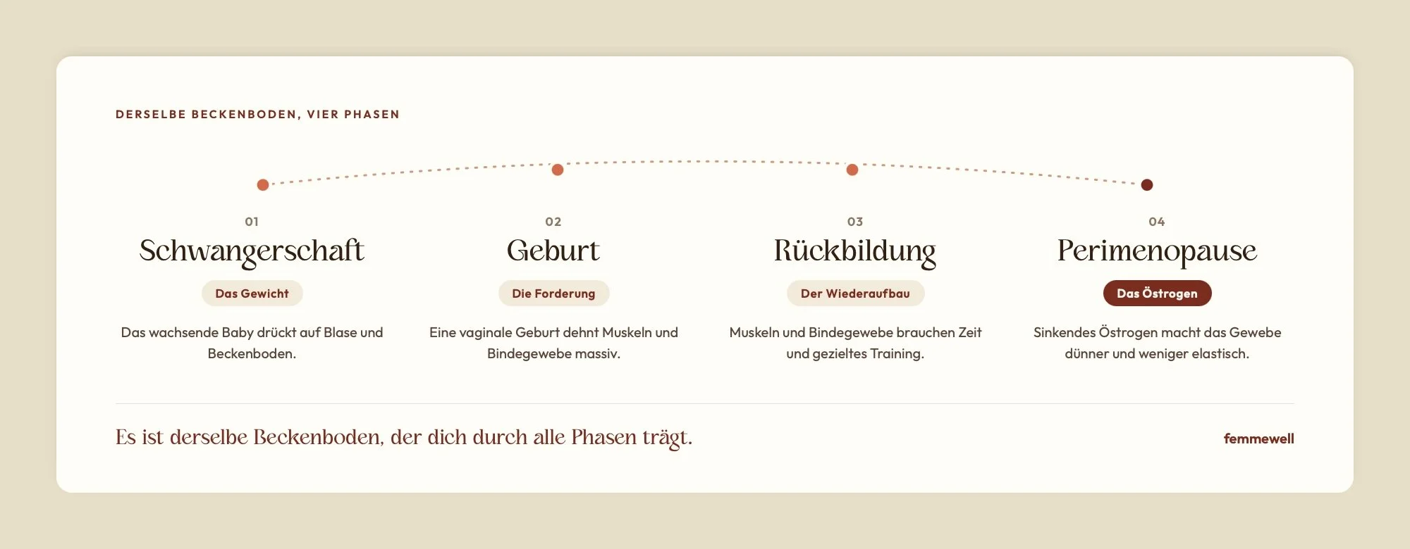 Beckenboden in vier Lebensphasen: Schwangerschaft, Geburt, Rückbildung und Perimenopause mit der jeweiligen Hauptbelastung