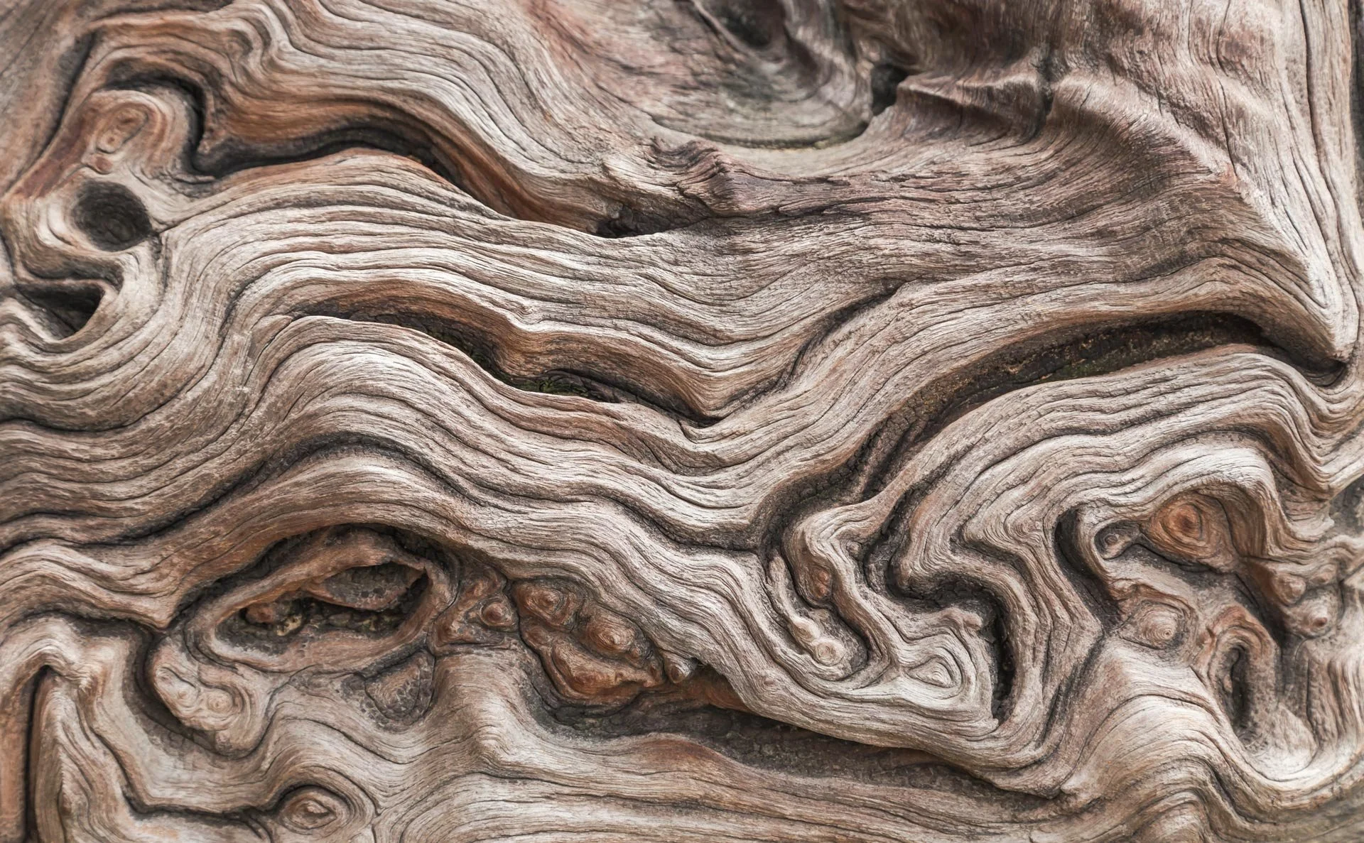 Close-up of highly textured, weathered wood with deep, intricate, and swirling grain patterns in shades of muted brown and grey