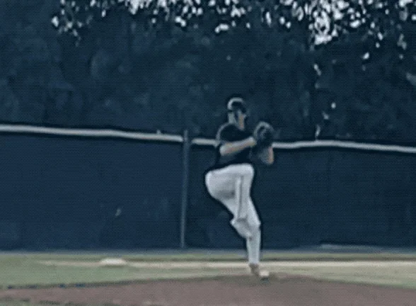 A baseball player in black uniform and white pants preparing to pitch on a baseball field, with trees in the background.
