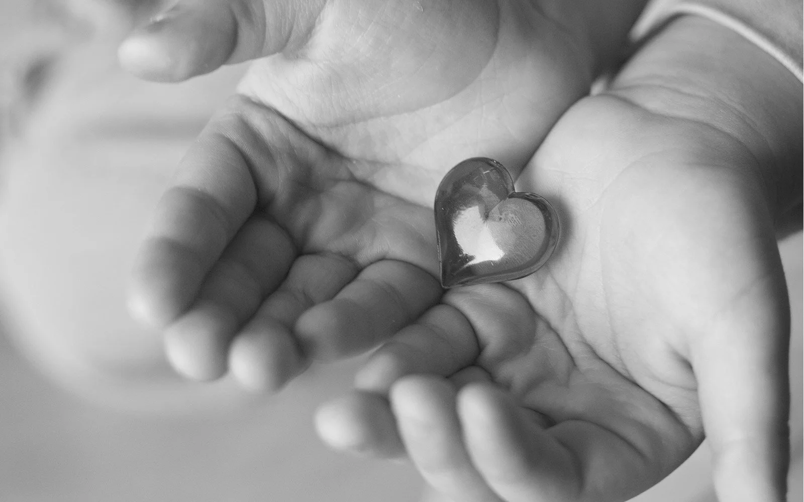My Ideal Parents - PBSP - A hand gently holding a small, transparent, heart-shaped glass object.