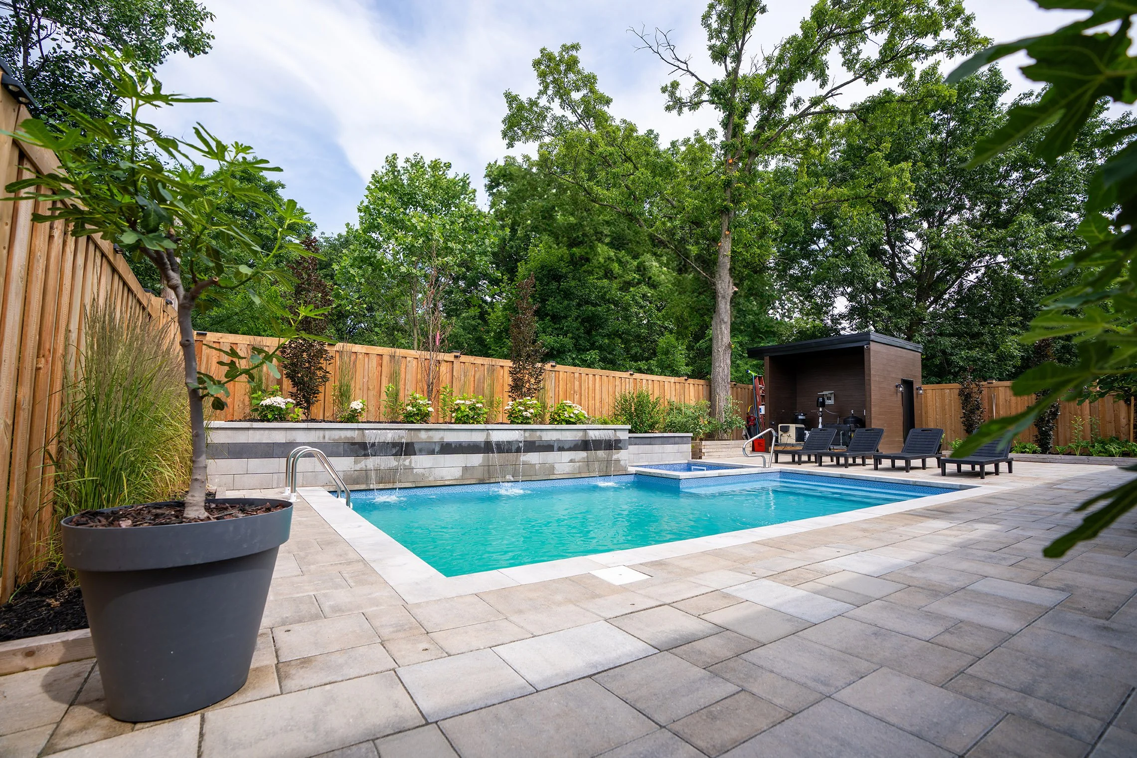 Backyard with in-ground swimming pool, potted plant, lounge chairs, small shed, tall trees, and wooden fence.