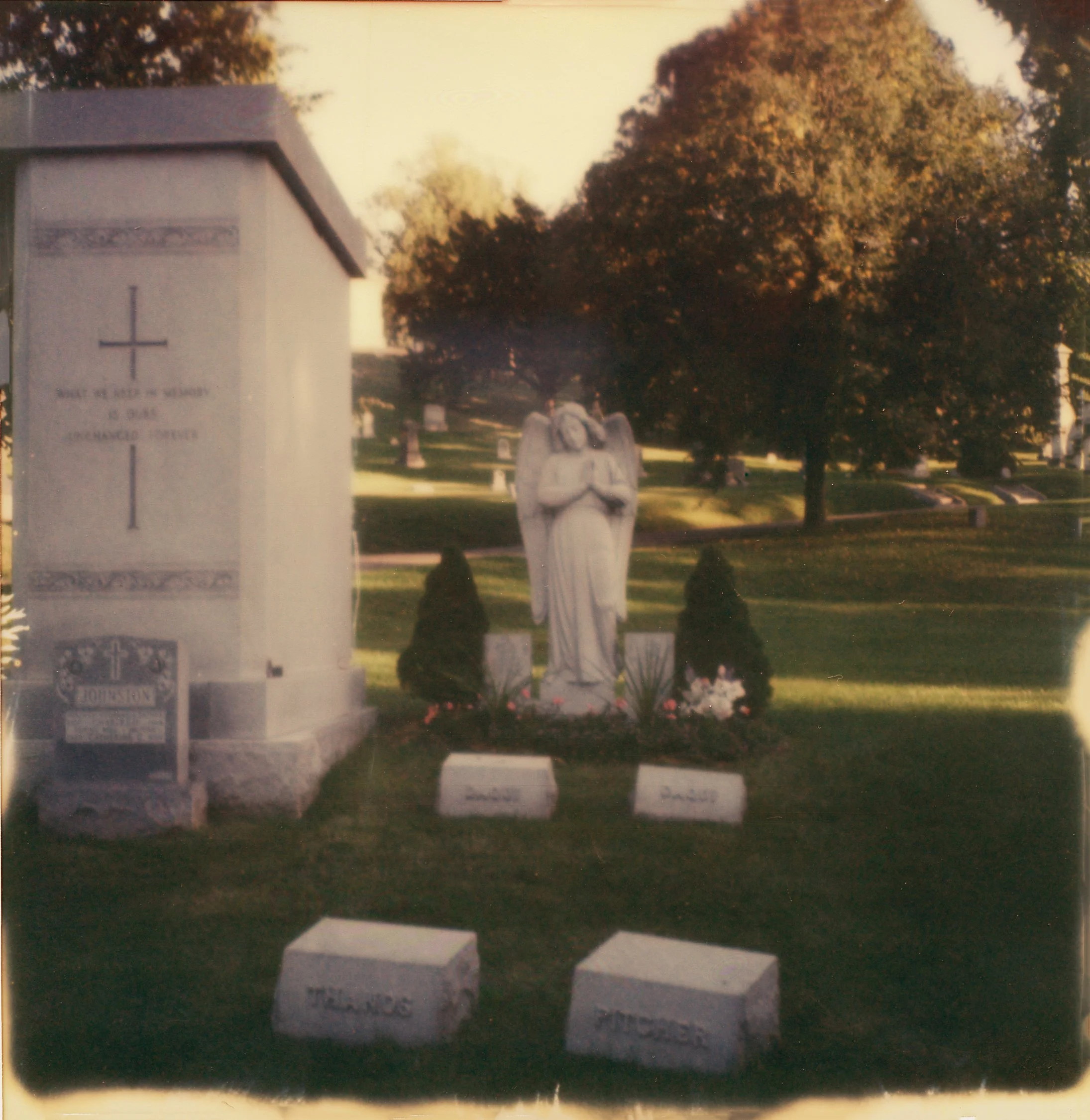 Angel Golden hour cropped copy.jpg