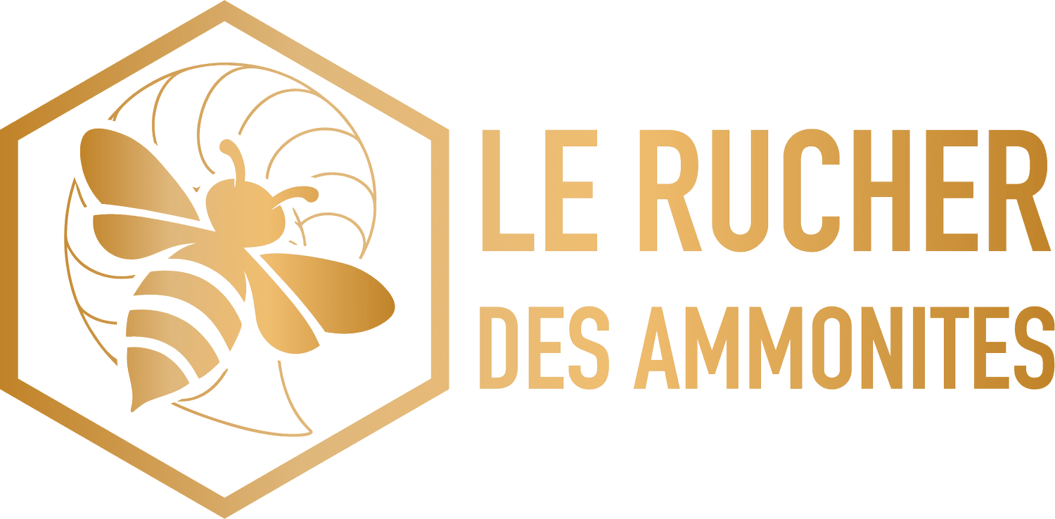 Rucher des Ammonites