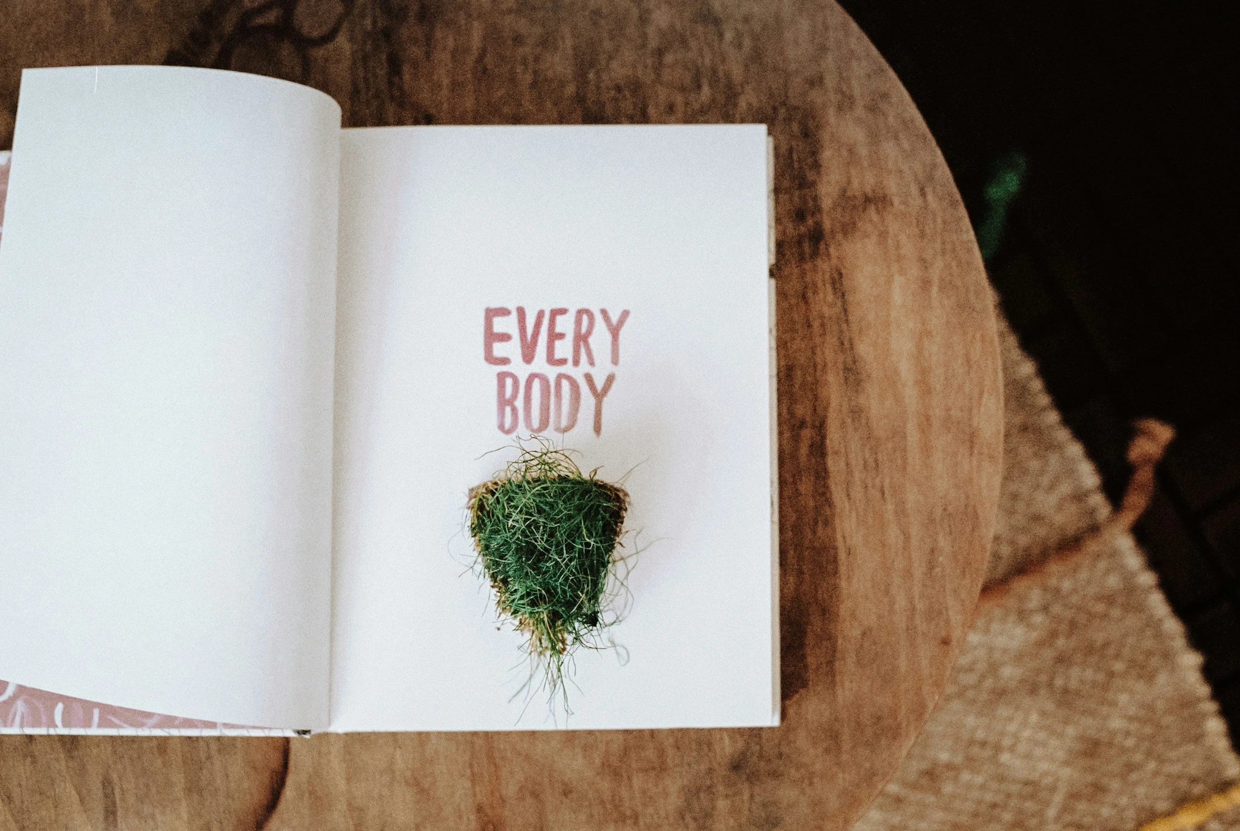 Image written in a book that shares Every Body in red font