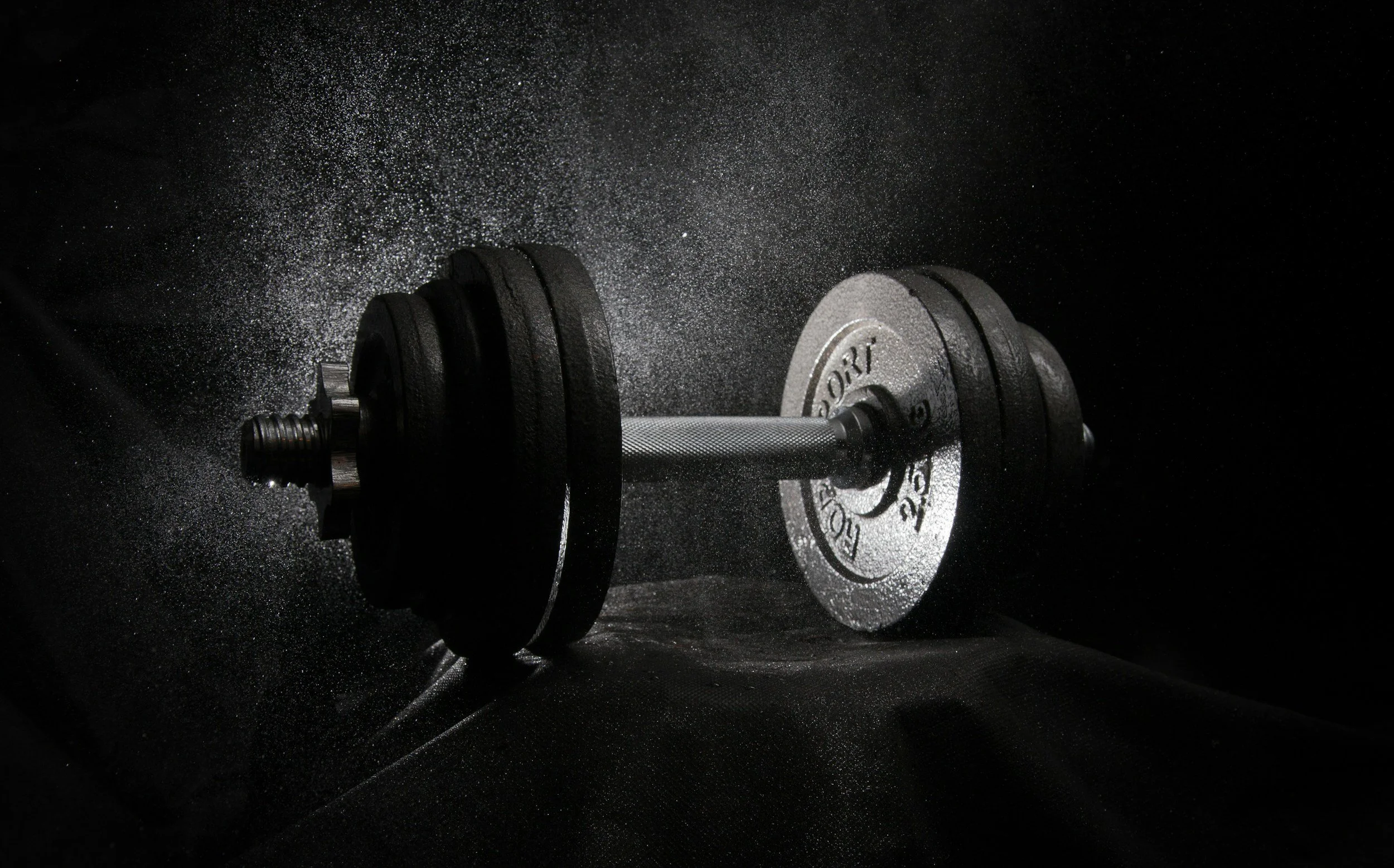 Black and white image of adjustable dumbbell
