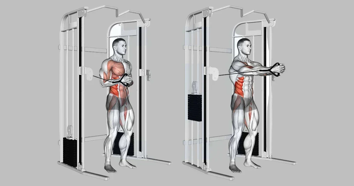muscle group demonstration of pallof press