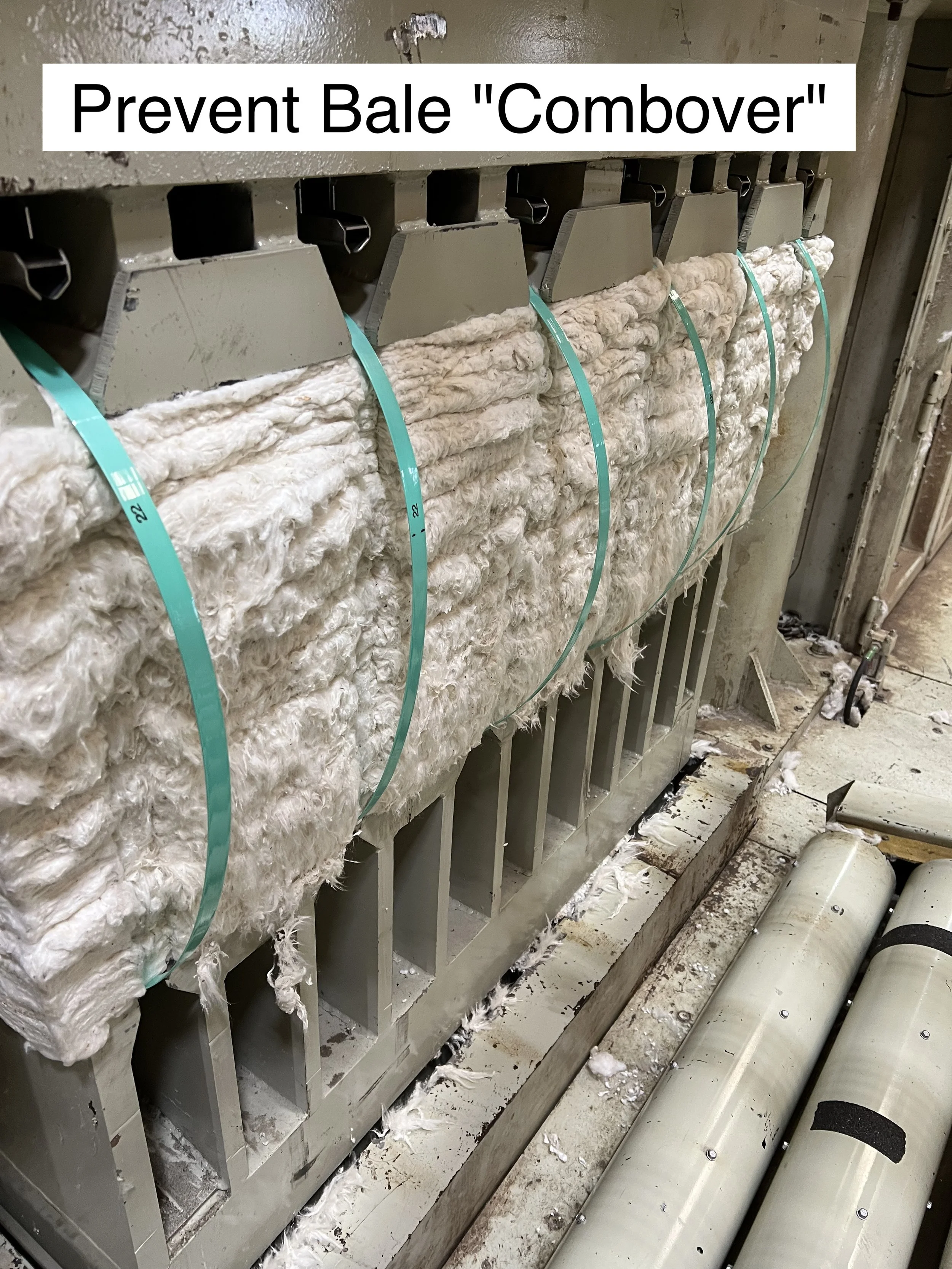 bale combover.jpg