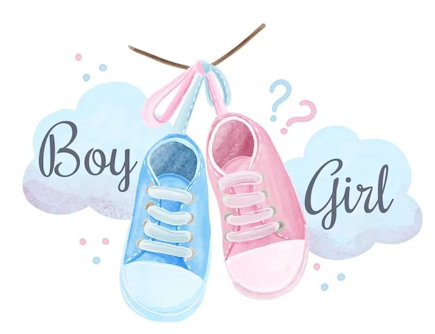 A watercolor illustration of two sneakers hanging from a stick with pink and blue ribbons, labeled 'Boy' for the blue shoe and 'Girl' for the pink shoe, with question marks and clouds in the background.