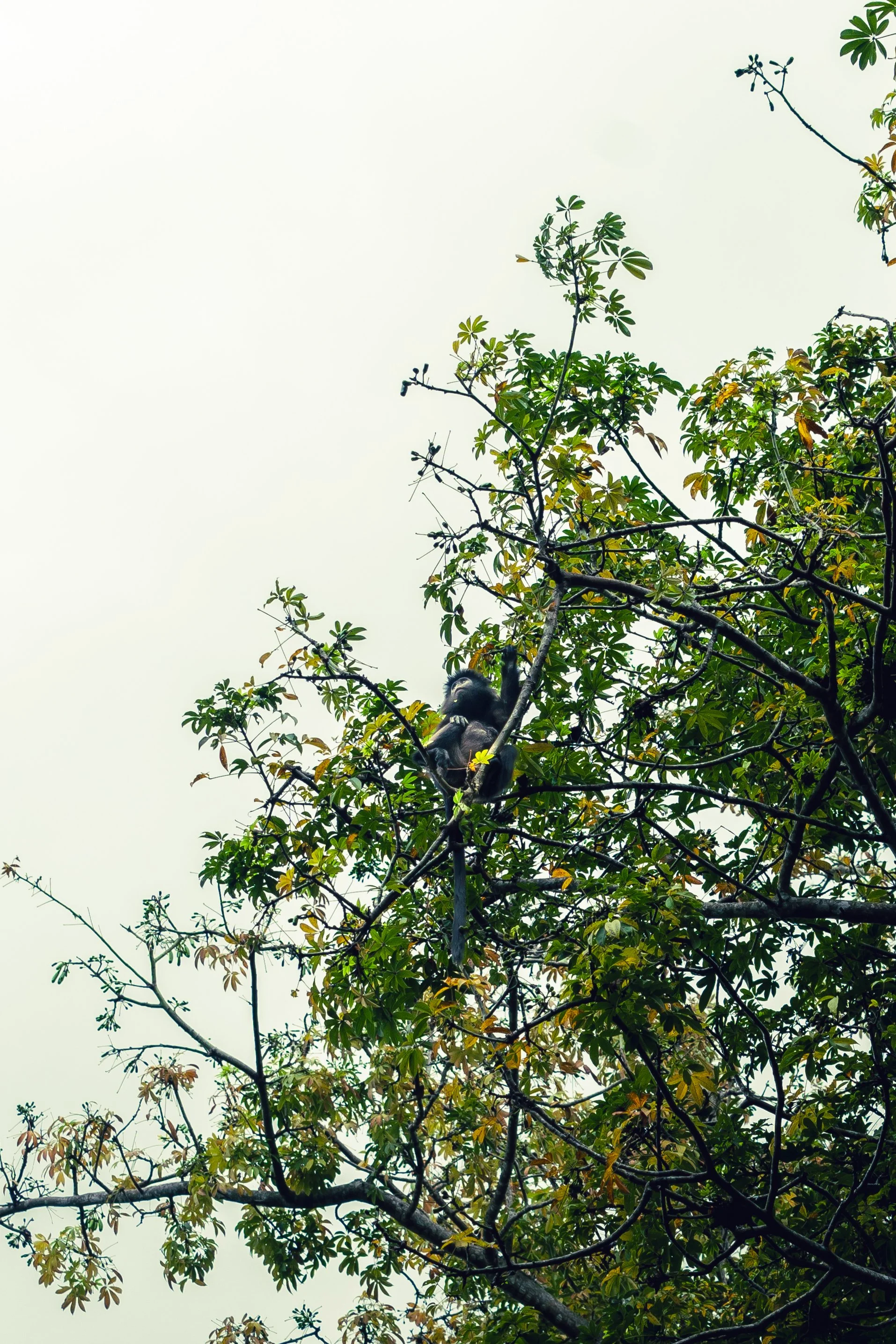 waterfall (4 sur 4).jpg