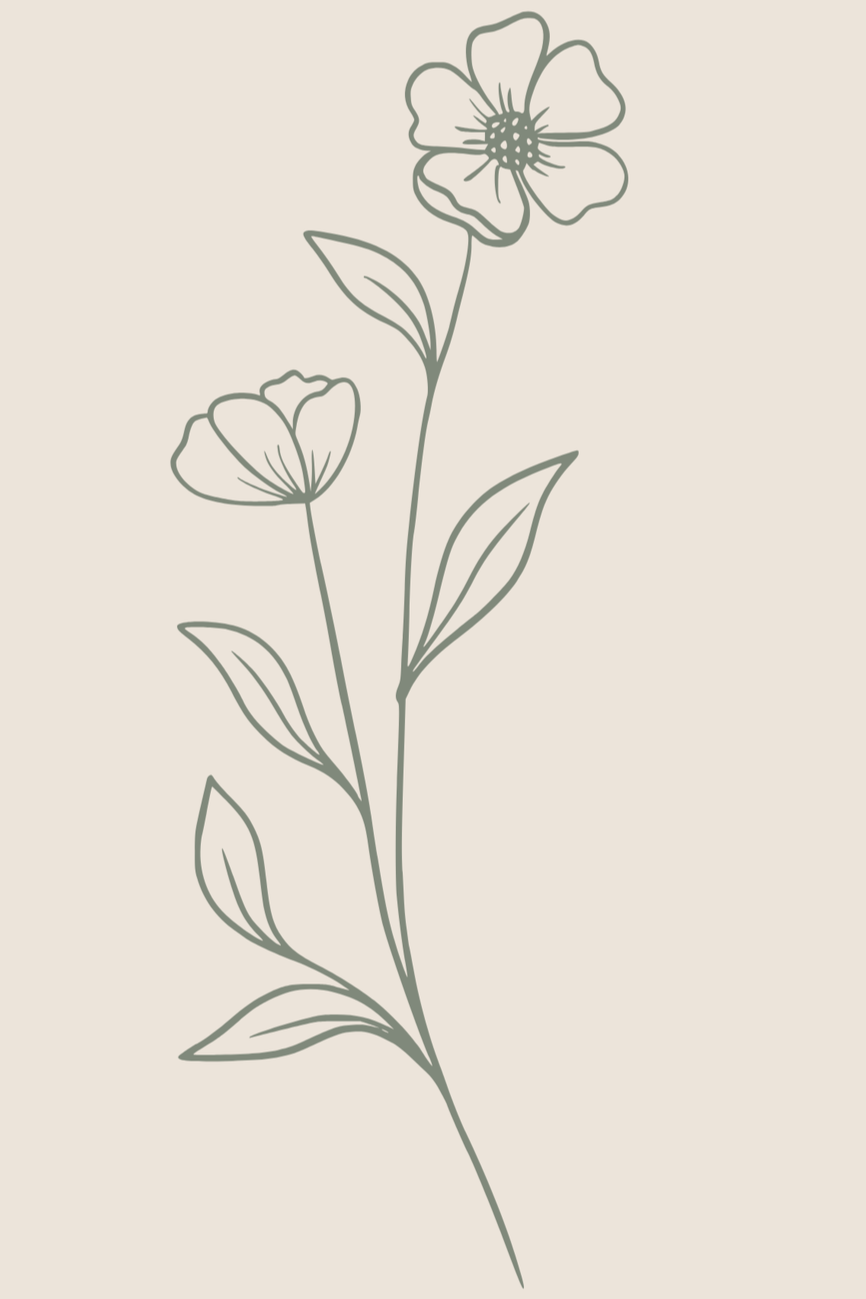 Minimalist line drawing of a flower with two blooms and elongated leaves on a light background.