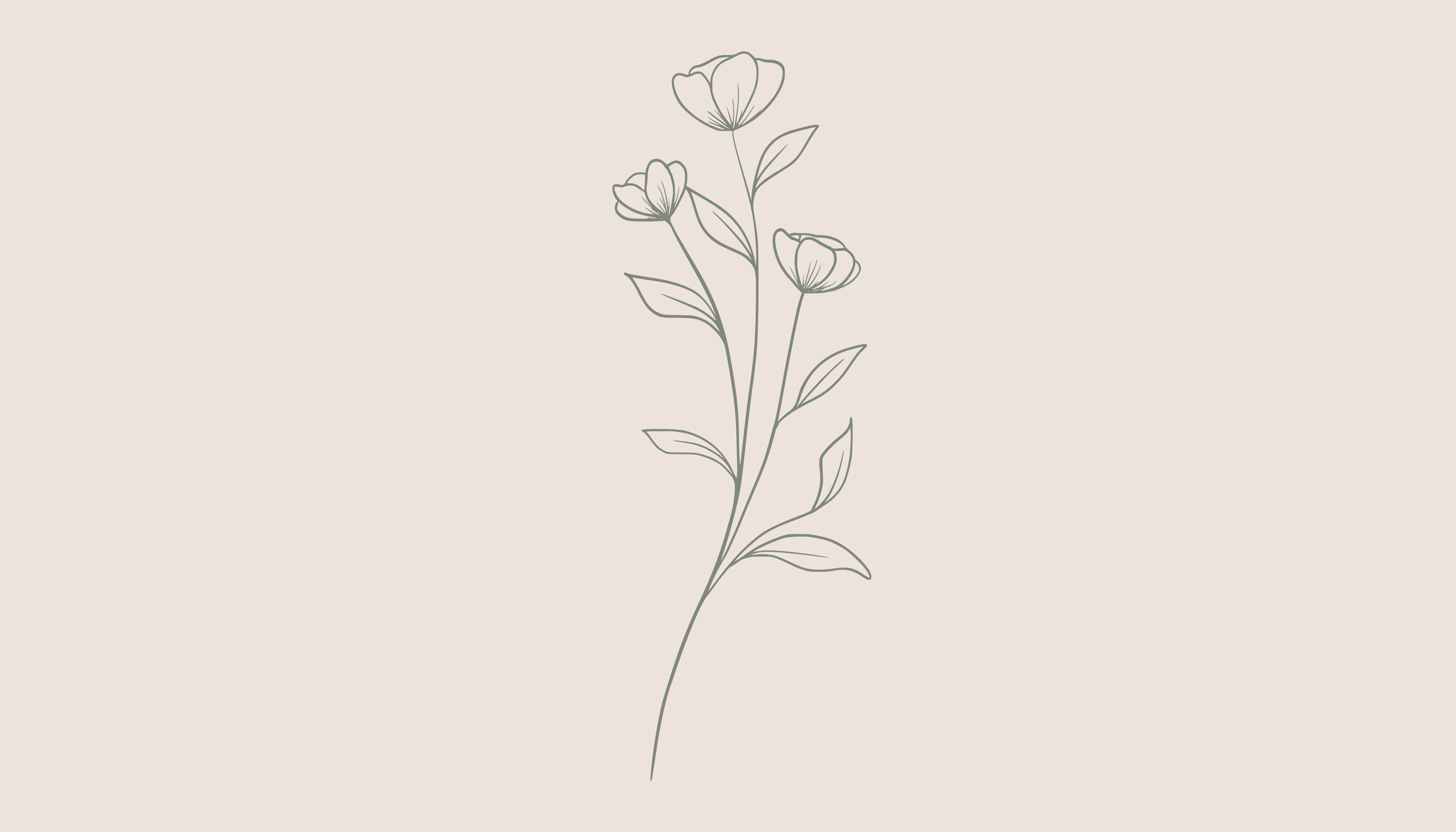 Line drawing of three poppy flowers with leaves on a beige background.