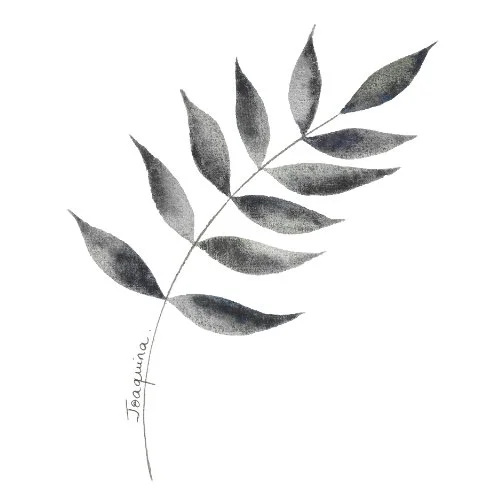 L&#39;atelier de Joaquina - Aquarelle et illustration