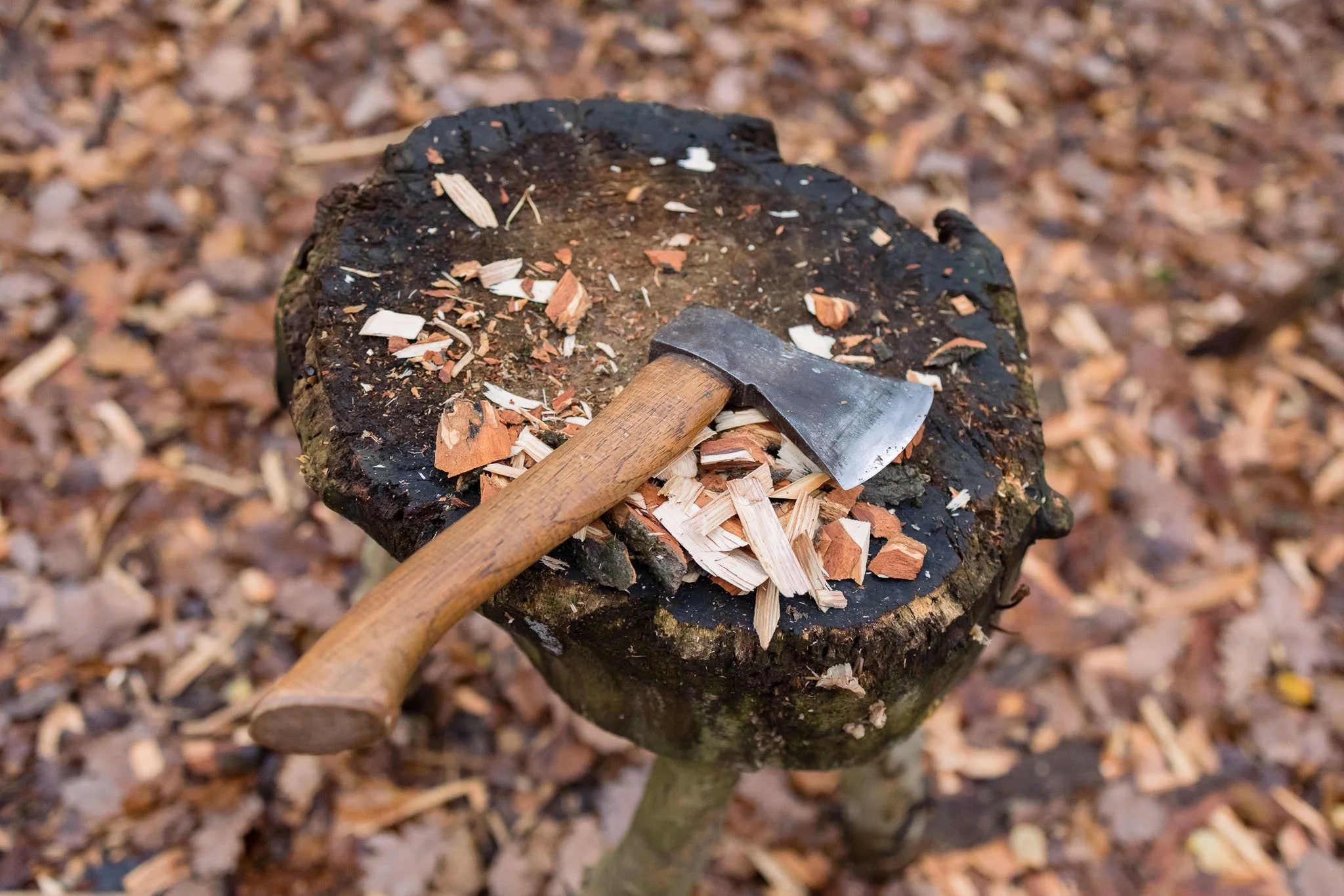 photography of maker in sussex - woodworker-6.jpg